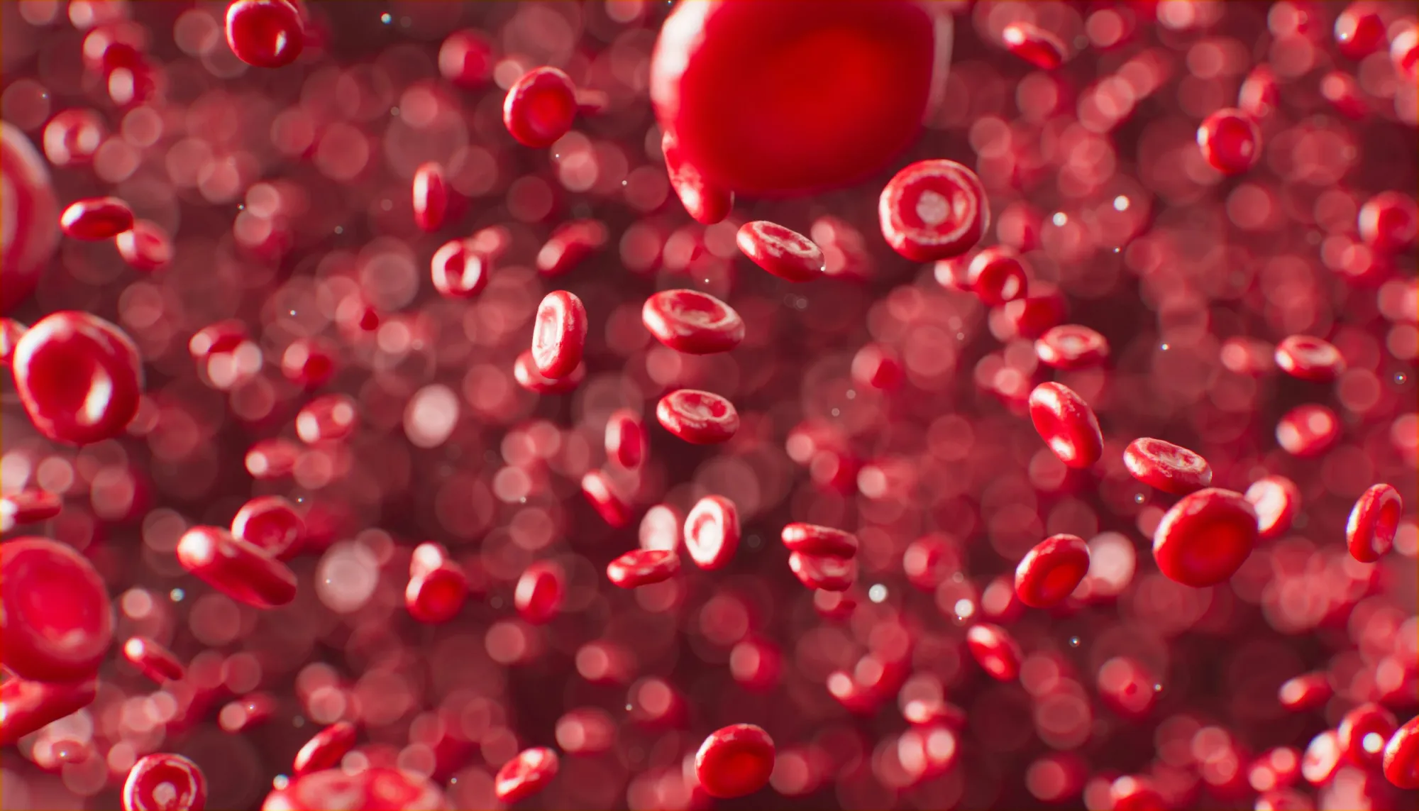 PTC SEPHIENCE: A New PKU Treatment Approved