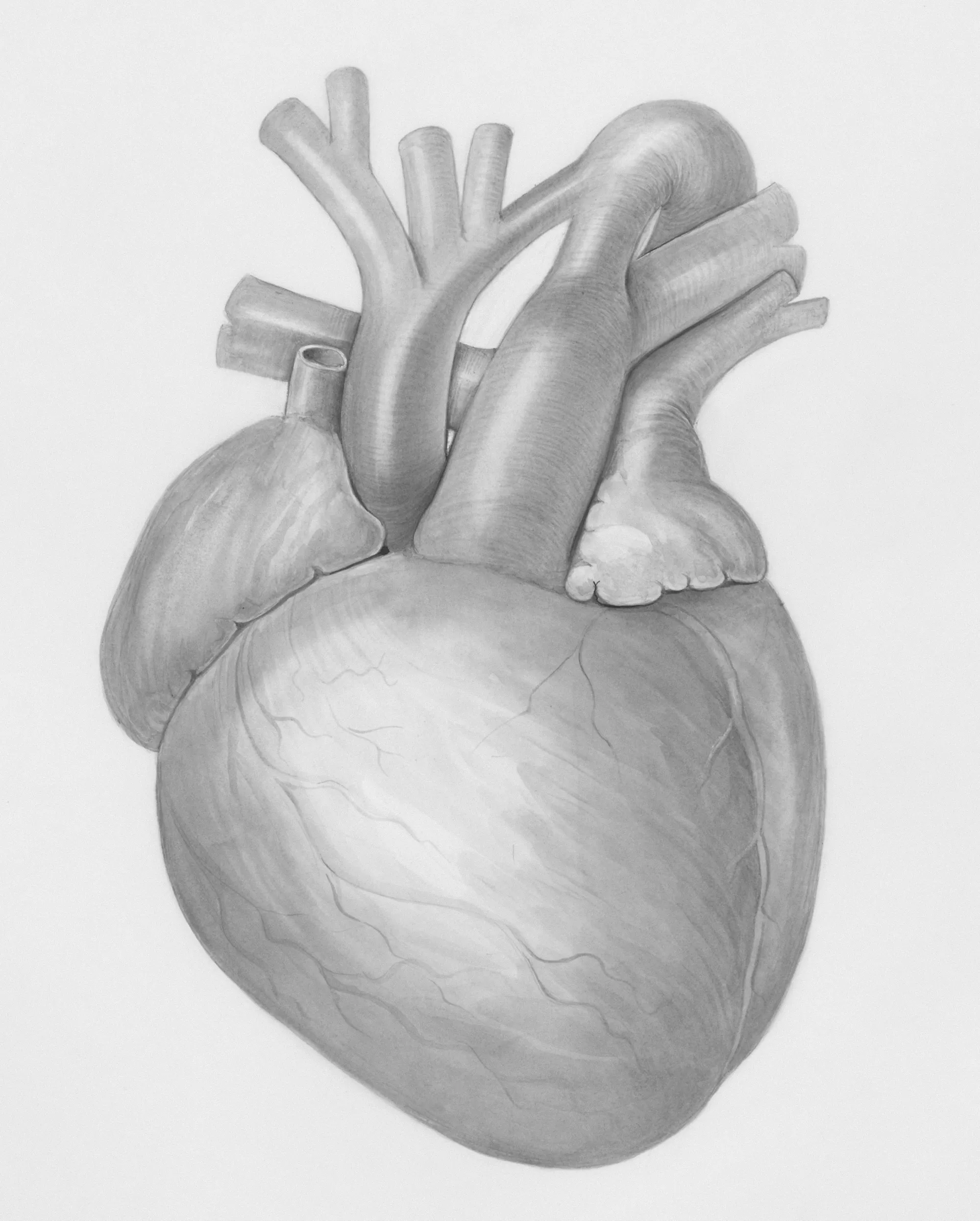 Wegovy Outperforms Competitors in Cardiovascular Risk Reduction