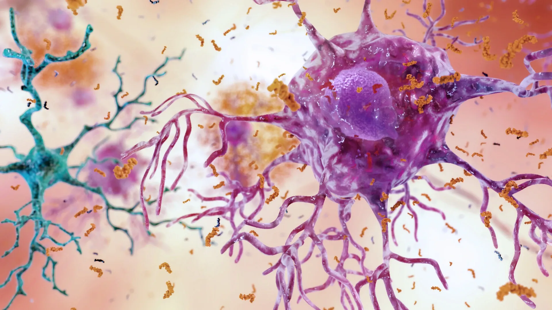 Brain Inflammation 