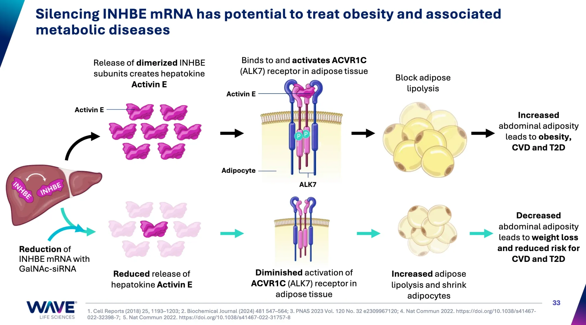 Wave Life Sciences (WVE-007): Why Experts See Big Potential for Weight Loss