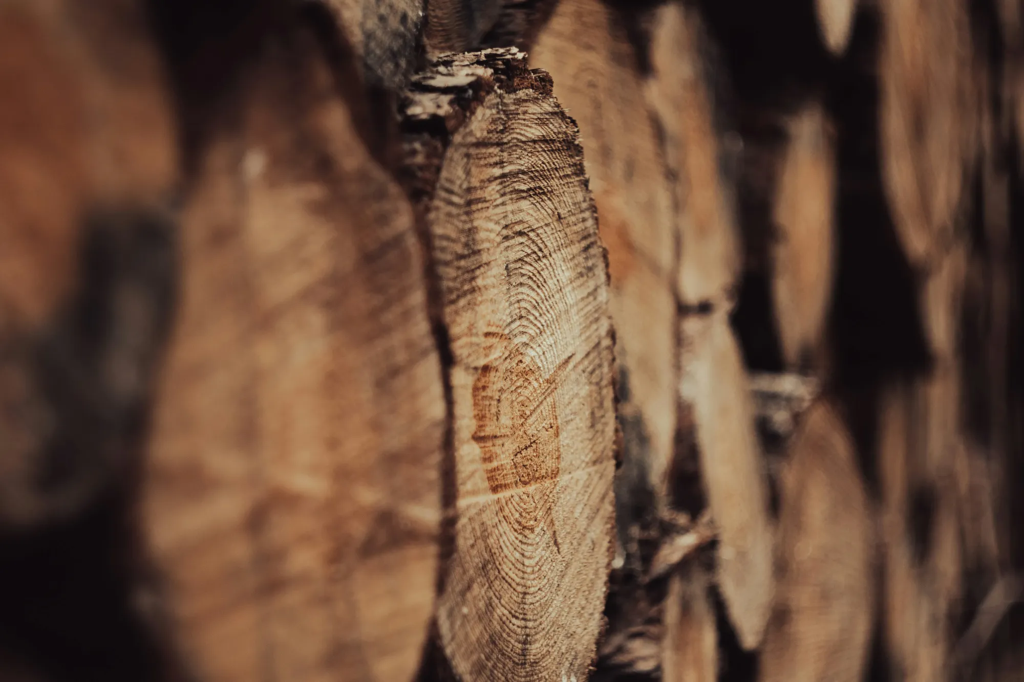 Timber industry