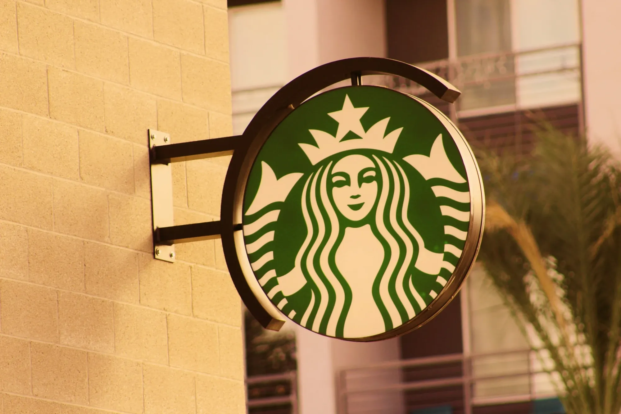 Starbucks Shows First Sales Growth in Over a Year as Turnaround Plan Takes Hold