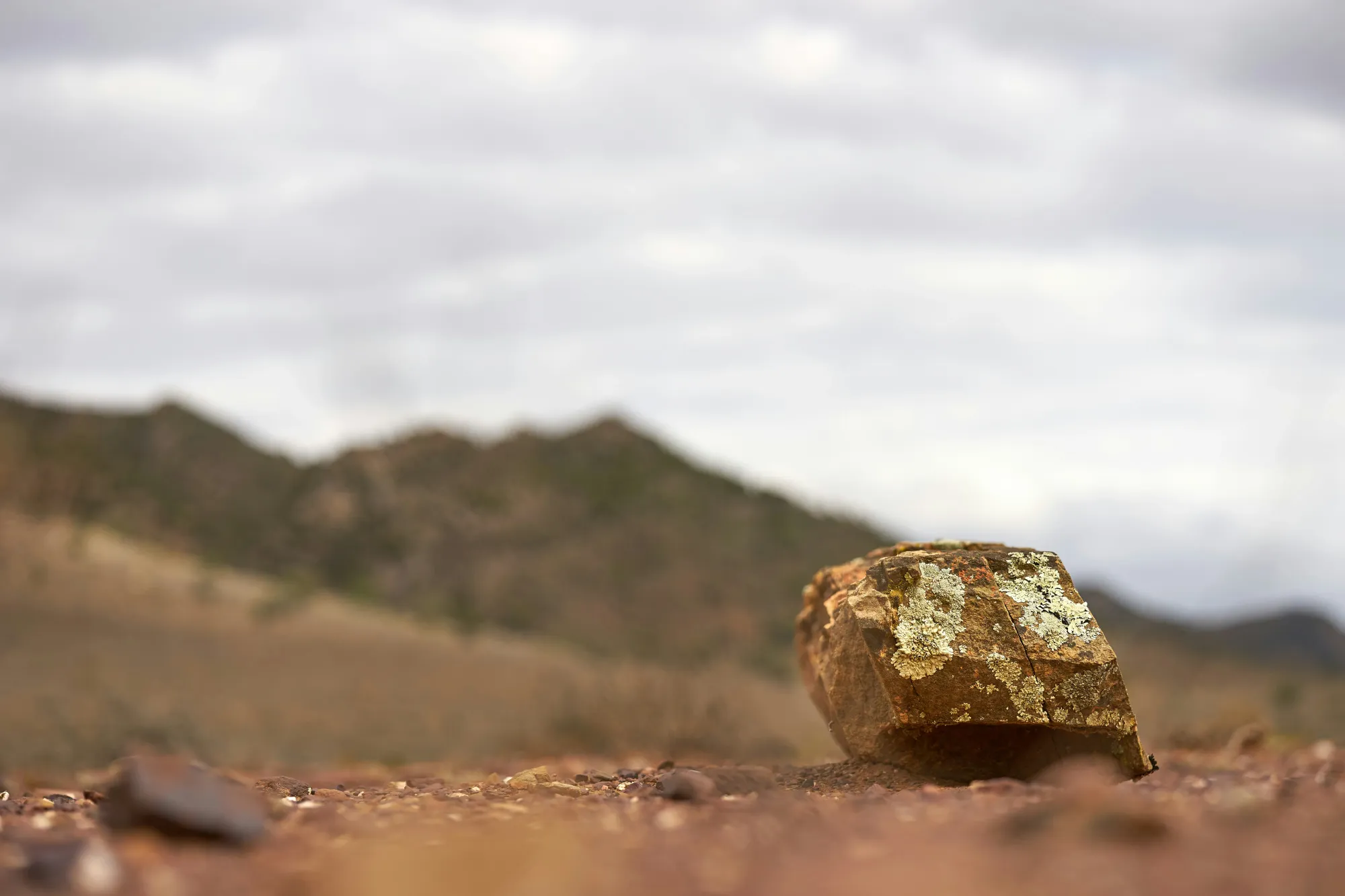 Newmont Eyes Full Control of Nevada Gold Mines from Barrick