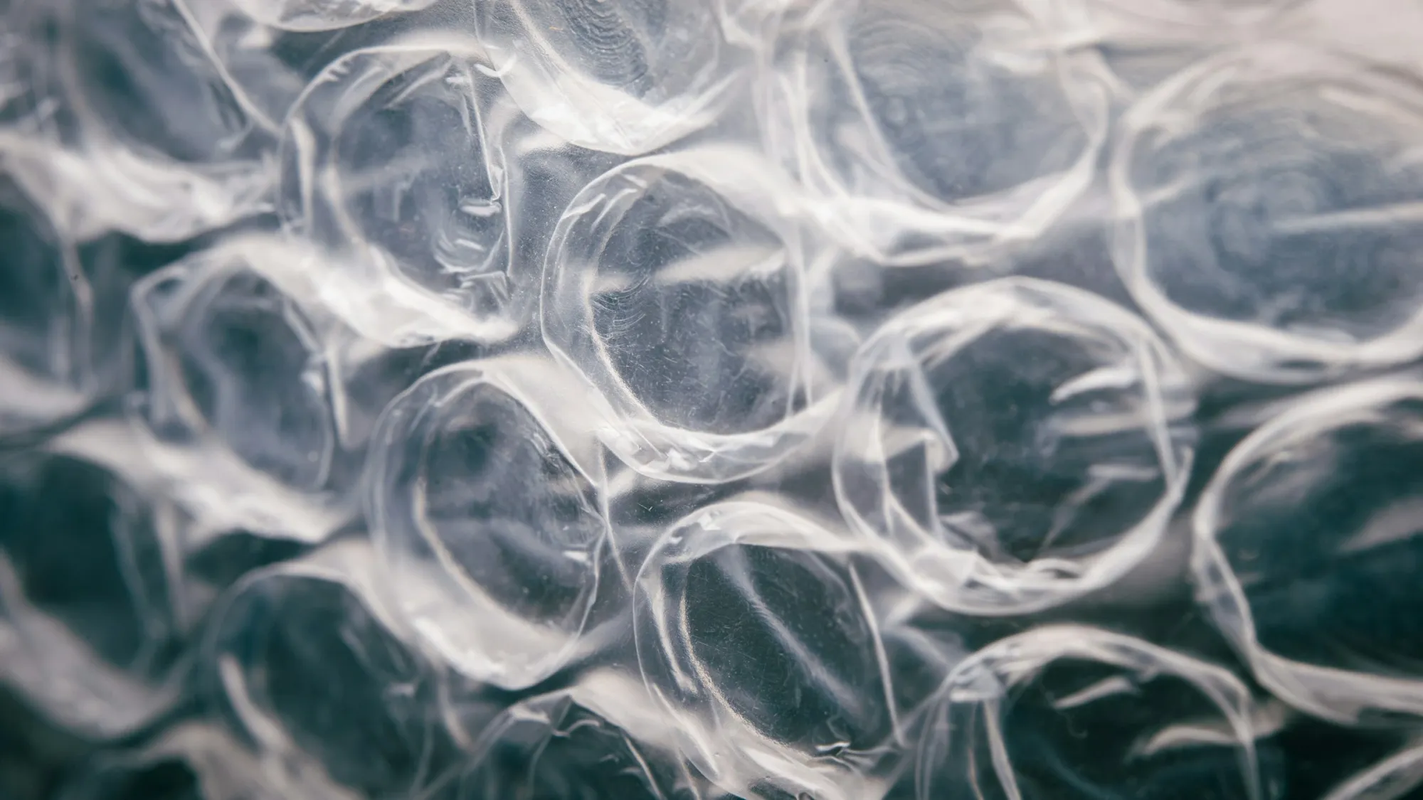Clayton Dubilier & Rice in Talks to Take Bubble Wrap Maker Sealed Air Private