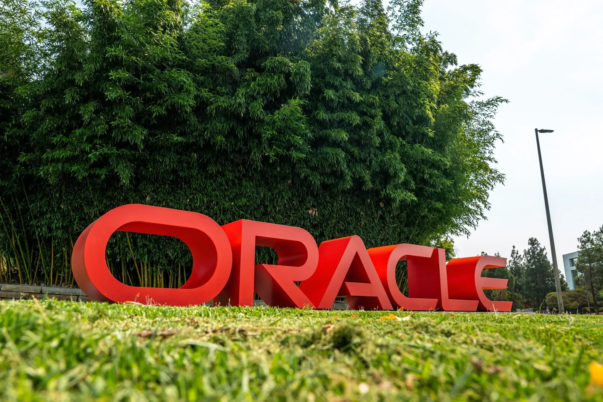 Oracle's Cloud Growth Slows Despite Record AI Bookings