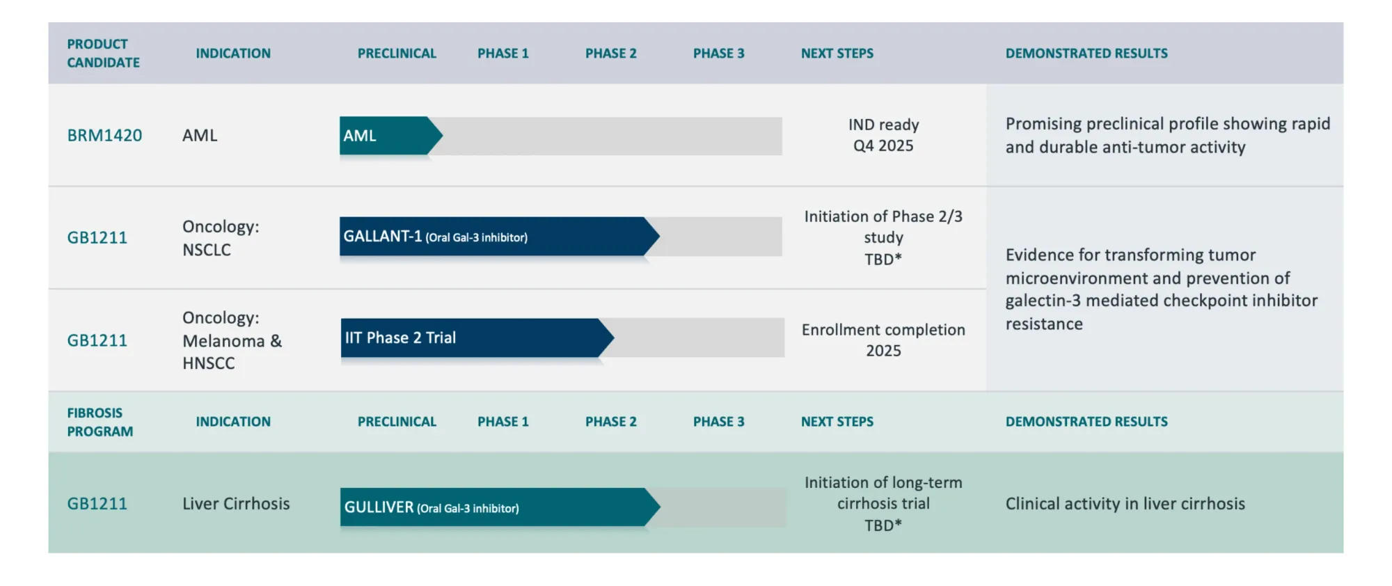 Galecto Gains Momentum with New Drug Class and Strong Funding