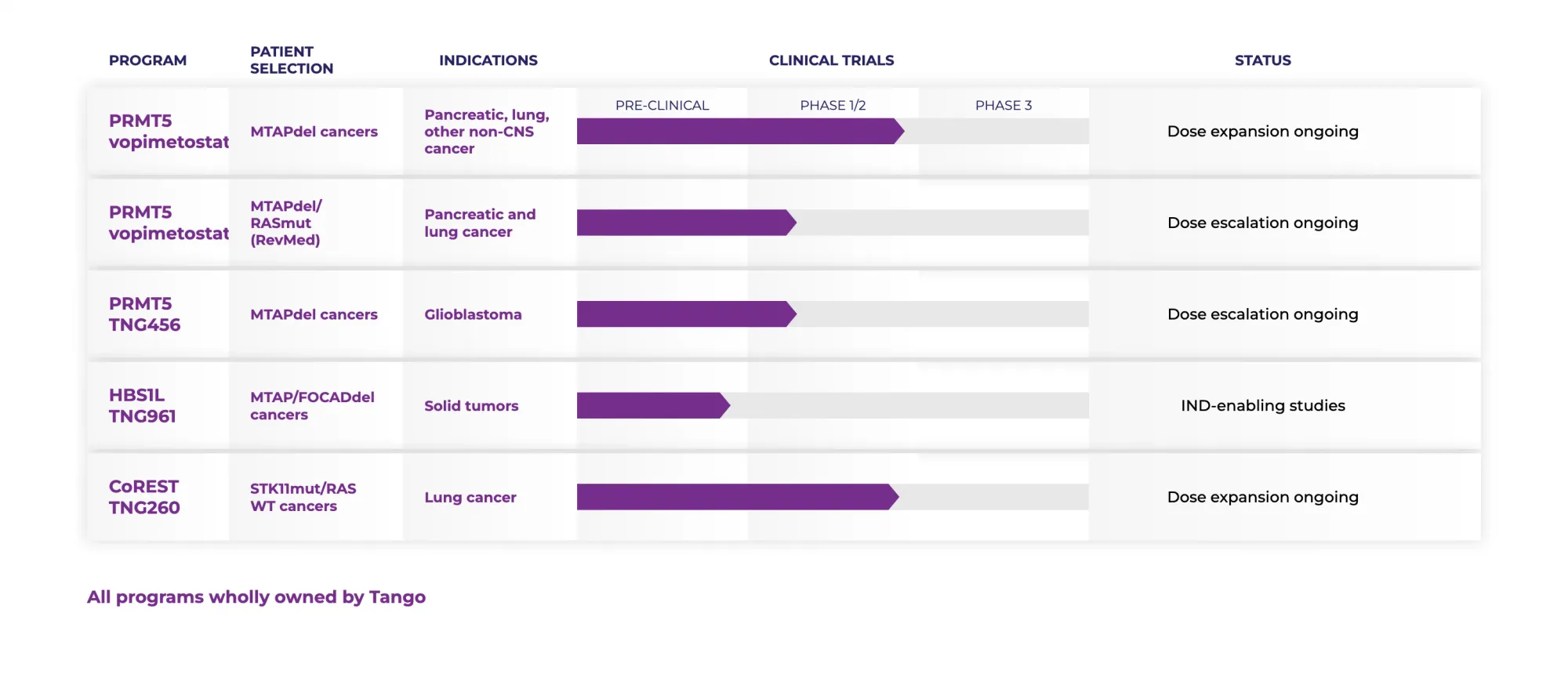 Stifel Begins Coverage of Tango Therapeutics with Bullish Outlook