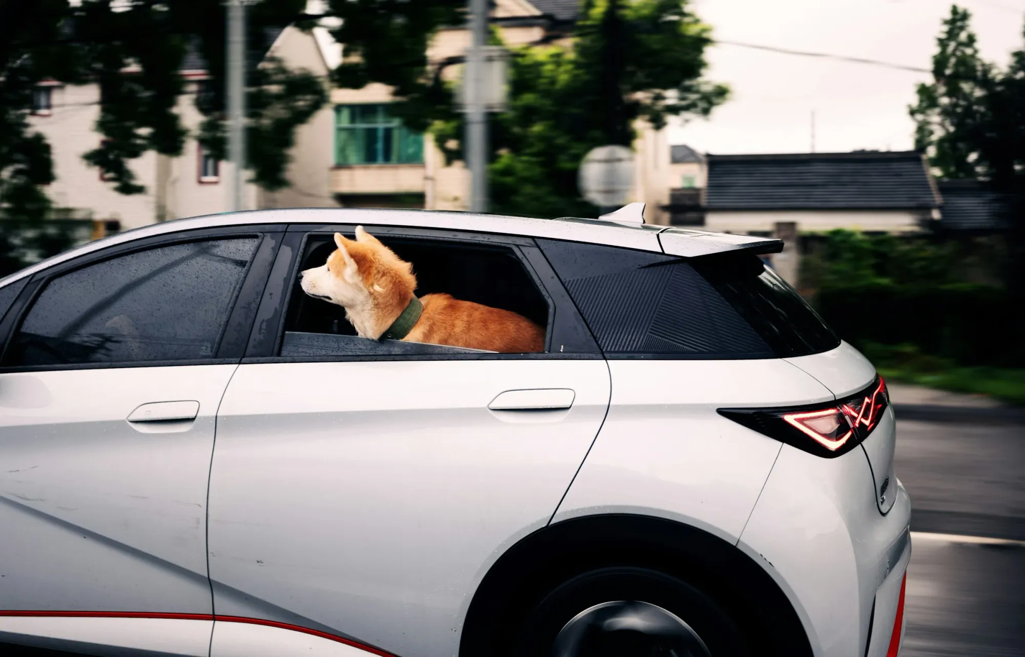 FDA Clears Path for Tradipitant Motion Sickness Studies