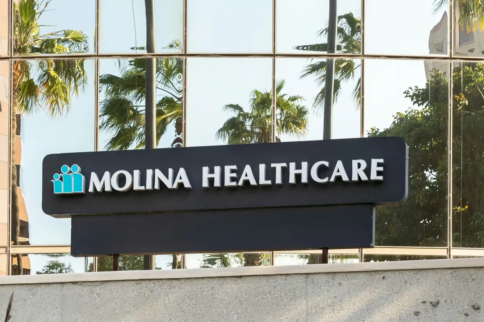 Michael Burry Compares Molina Healthcare to Warren Buffett's Geico Investment