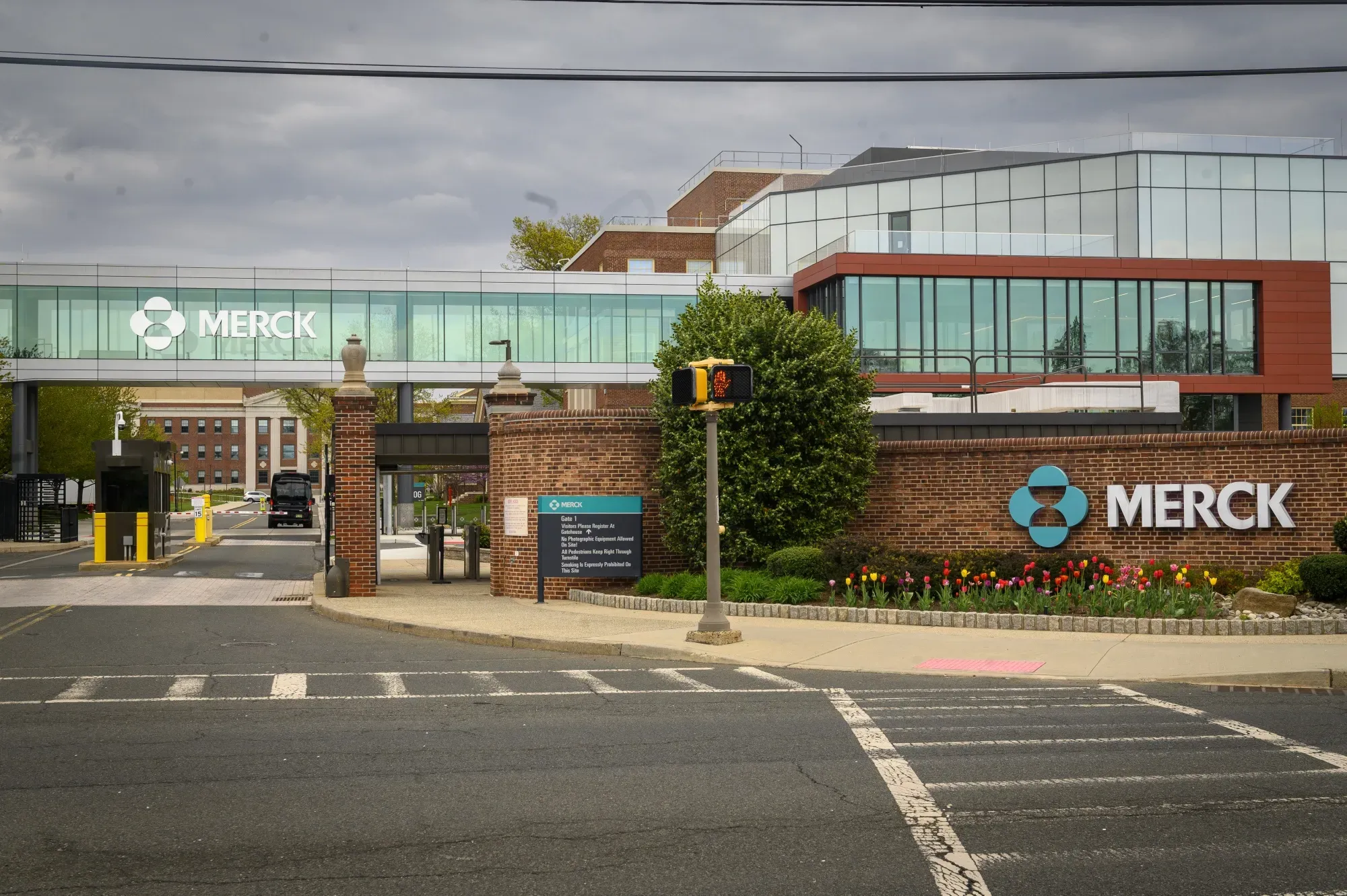 Merck Ends Talks to Buy Cancer Biotech Revolution Medicines in $30B Deal