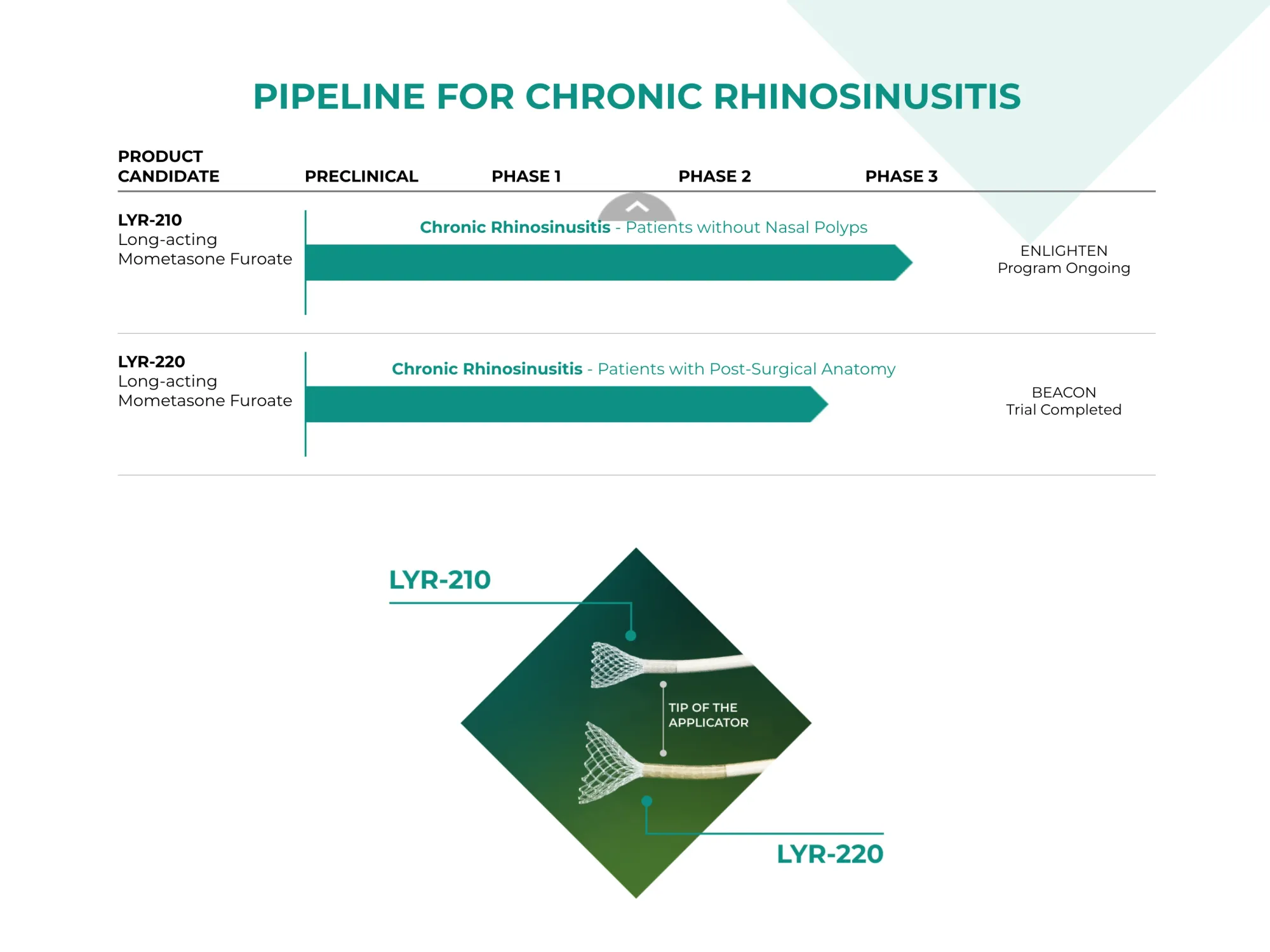 Lyra Therapeutics Halts Drug Development, Cuts Entire Workforce