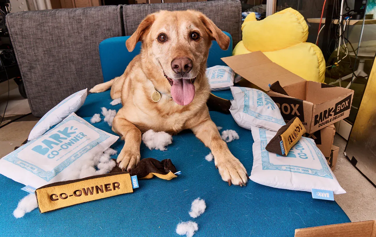 BARK Stock Jumps on Competing $1.10 Buyout Offer