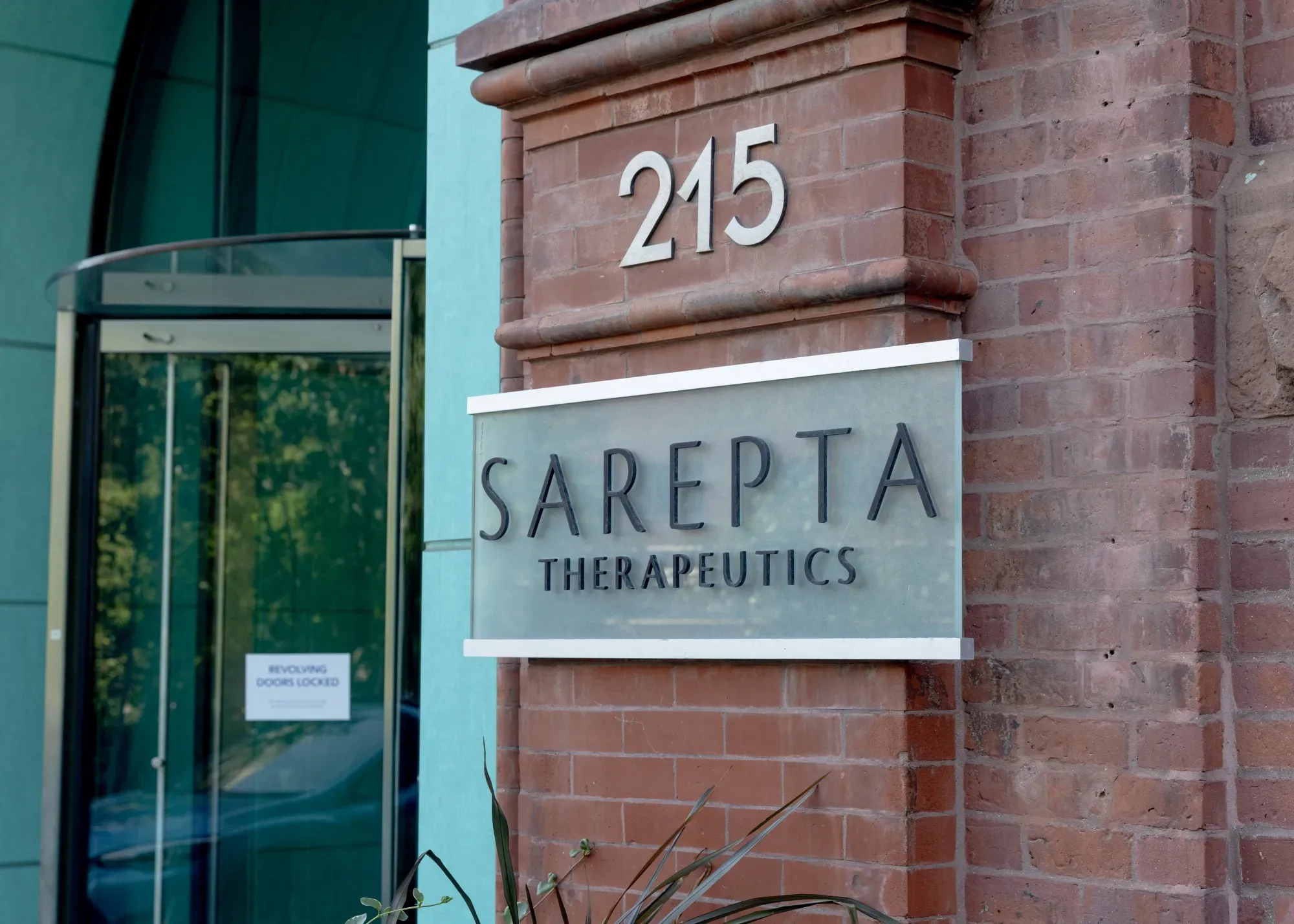 Wall Street Bears Circle Sarepta: Sell Ratings Pile Up After Q4 Reset Warnings