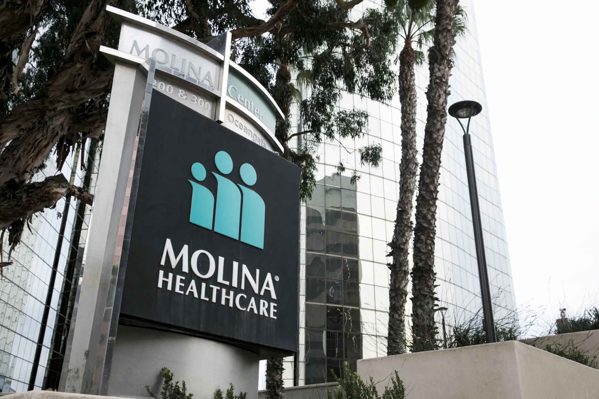 Wells Fargo Slashes Molina Healthcare Rating and Price Target Amid Medicaid Cost Concerns