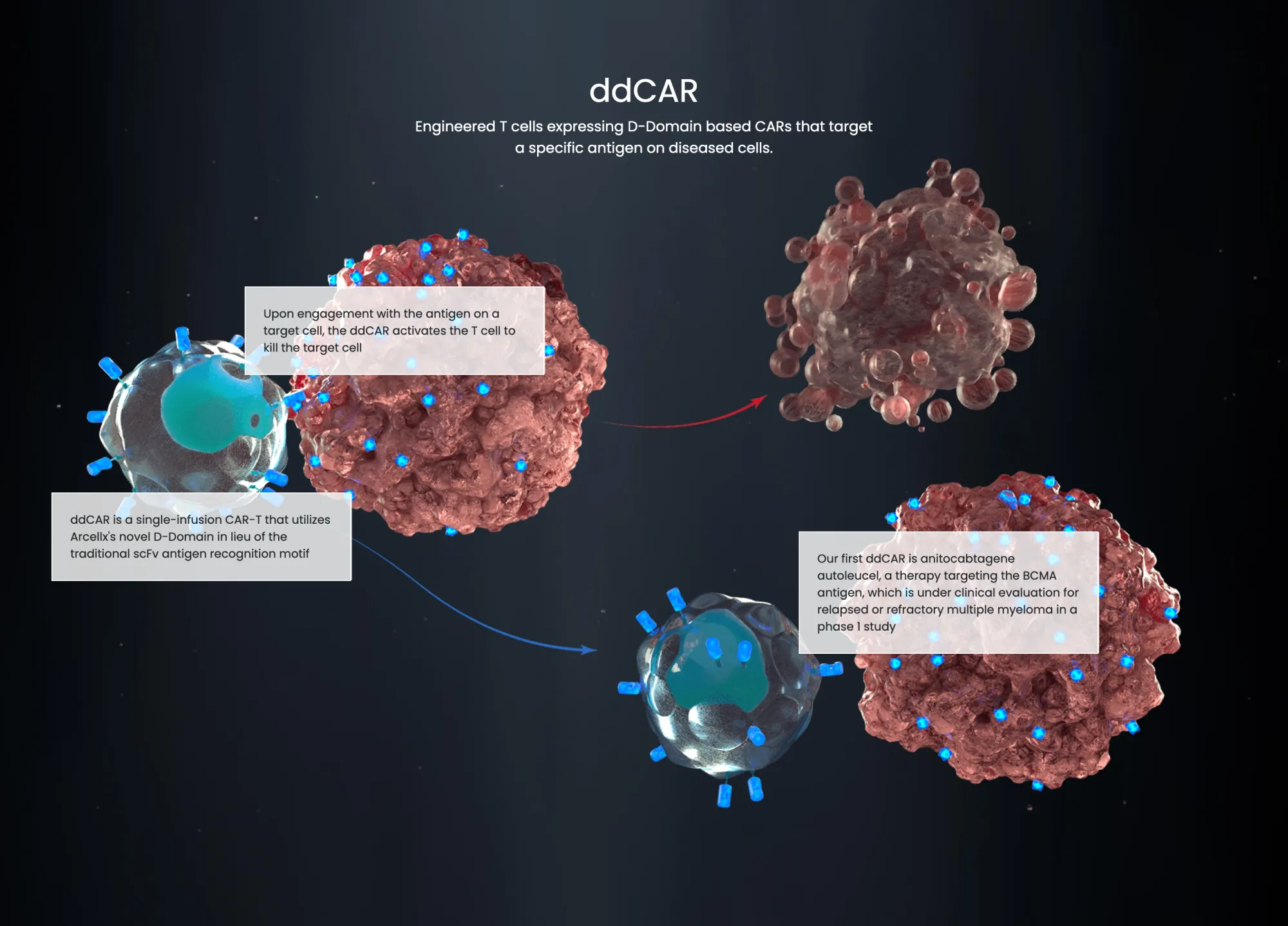 Gilead Sciences to Acquire Arcellx in $7.8 Billion Deal to Boost Cancer Treatment Options