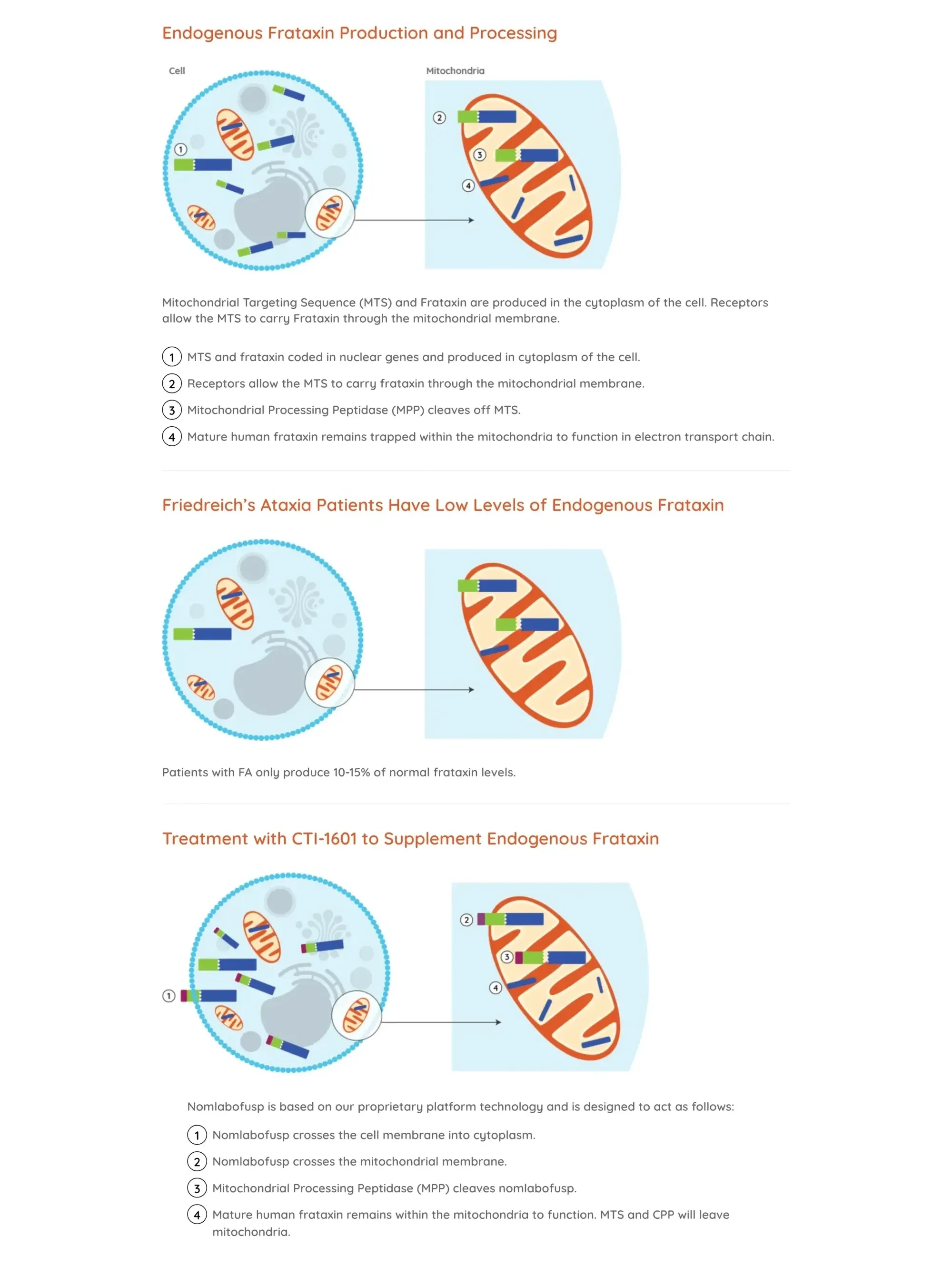 Larimar Soars as FDA Grants Breakthrough Status to First Potential Disease-Modifying FA Drug