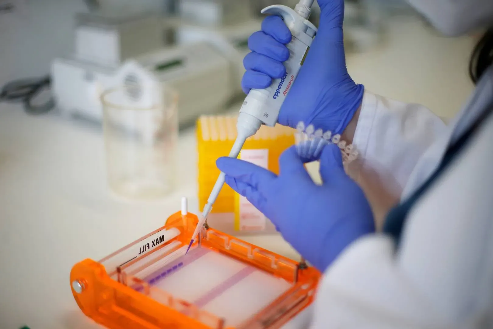 Analyst Upgrades Boost Two Biotech Stocks: Korro Bio and Galecto