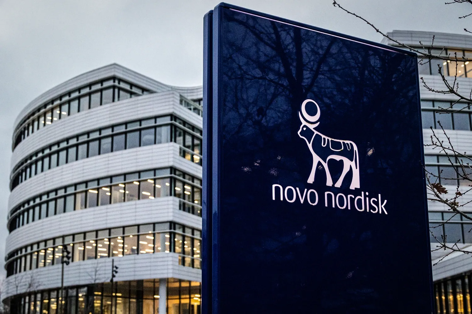 Novo Nordisk Faces More Pain: Bernstein Initiates Underperform Coverage