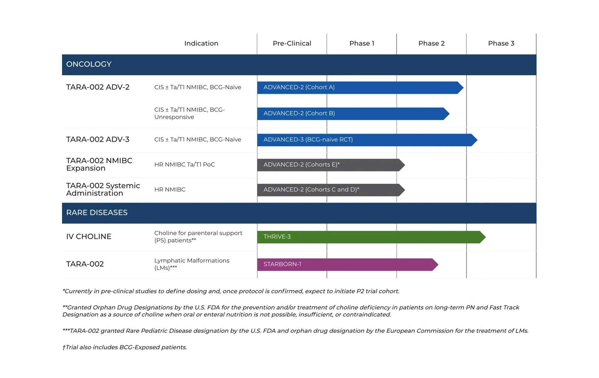 JPMorgan Bets on Protara Therapeutics: Overweight Rating and $27 Target on Picibanil Replica TARA-002