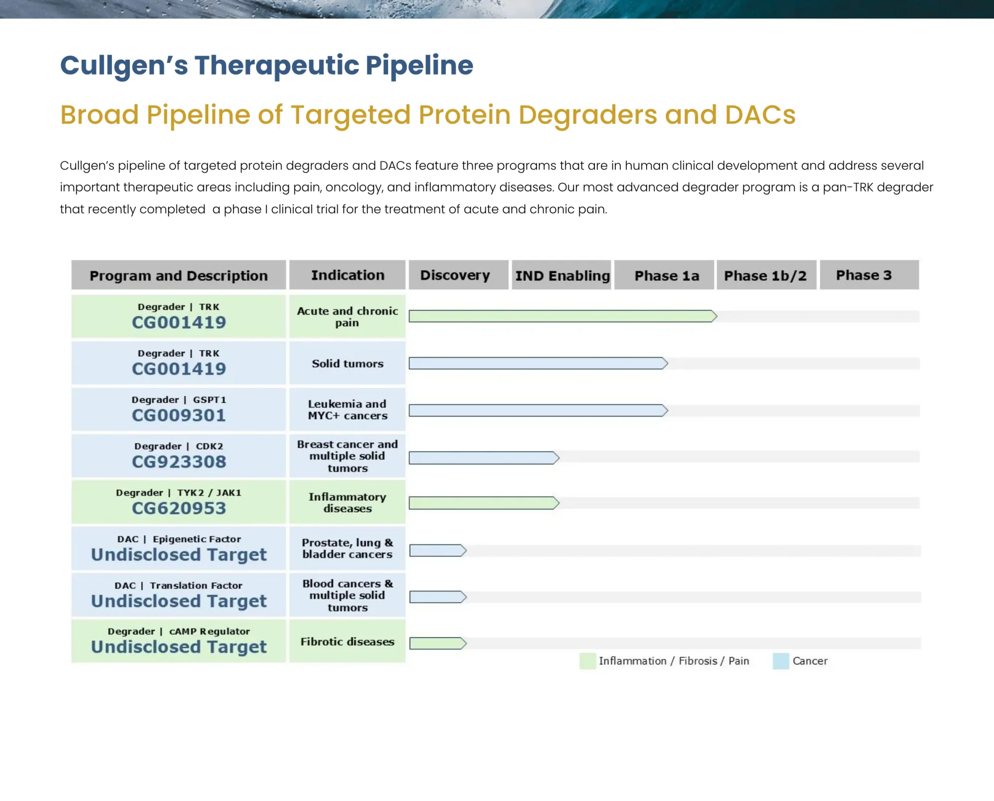Gyre Therapeutics Strikes $300M All-Stock Deal to Acquire Cullgen, Bolstering TPD Pipeline for Cancer and Pain