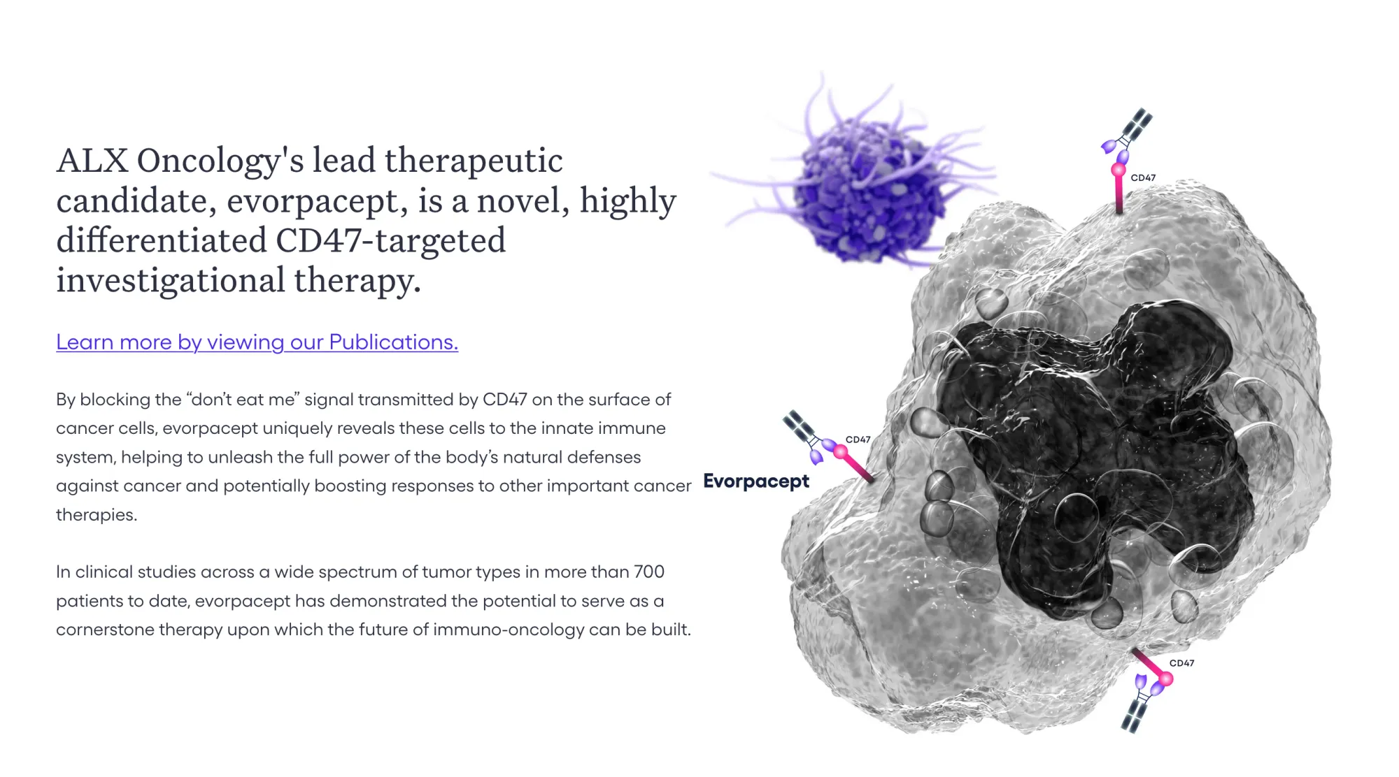 UBS Goes Bullish on ALXO: Buy Rating + $6 PT Highlights Evorpacept's Breast Cancer Promise