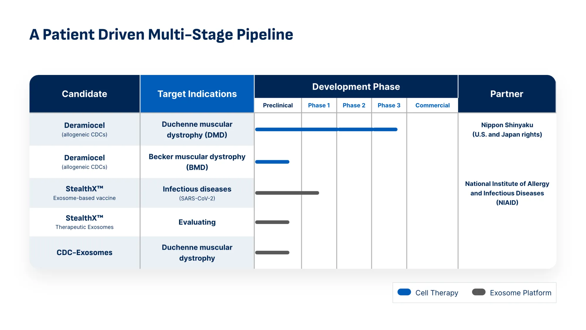 FDA Lifts Rejection and Schedules August 2026 Review for Deramiocel