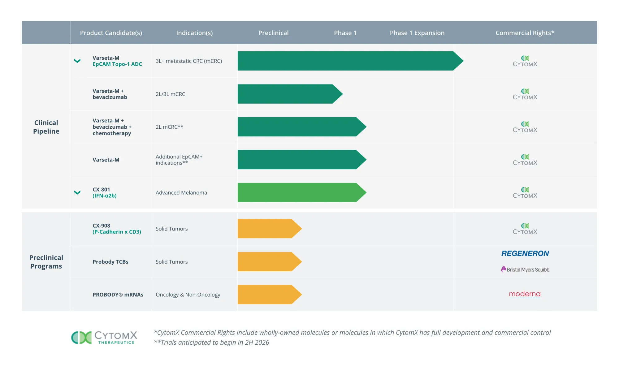 CytomX Shares Surge on Strong Phase 1 Data for Varsetatug Masetecan in Late-Line Colorectal Cancer