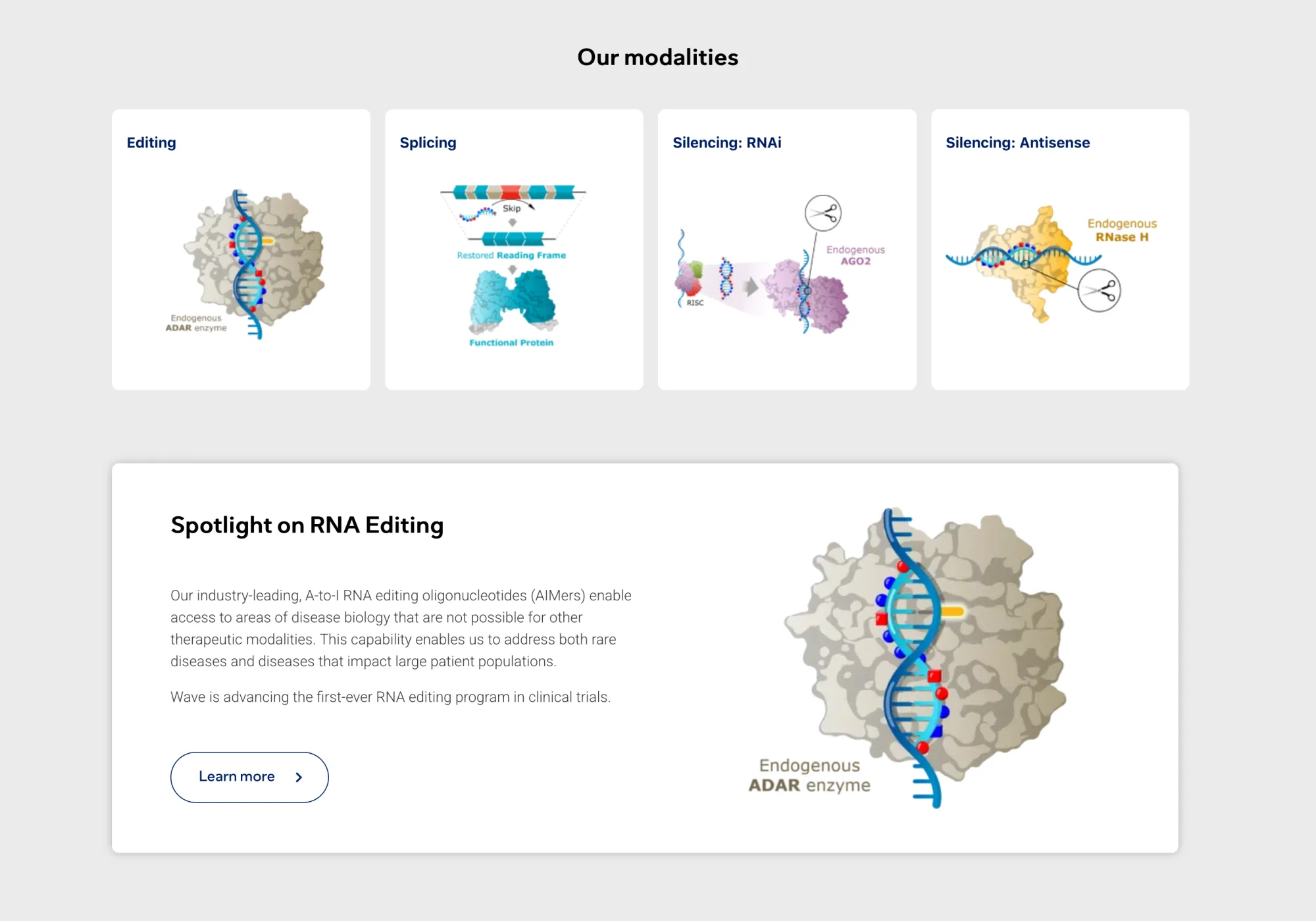 WVE-007 Shows Muscle-Preserving Fat Loss in Early Data, But Weight Reduction Remains Modest