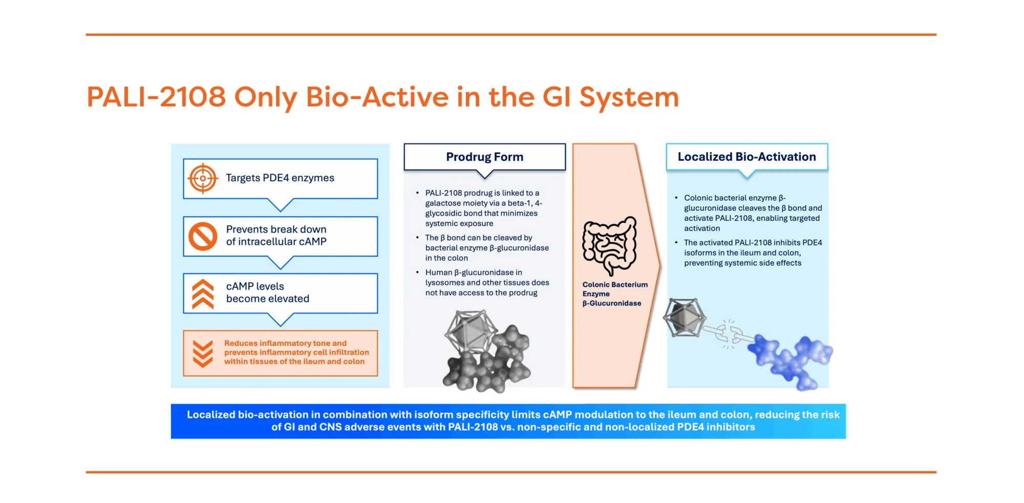 H.C. Wainwright Initiates Buy Rating on Palisade Bio with $7 Target