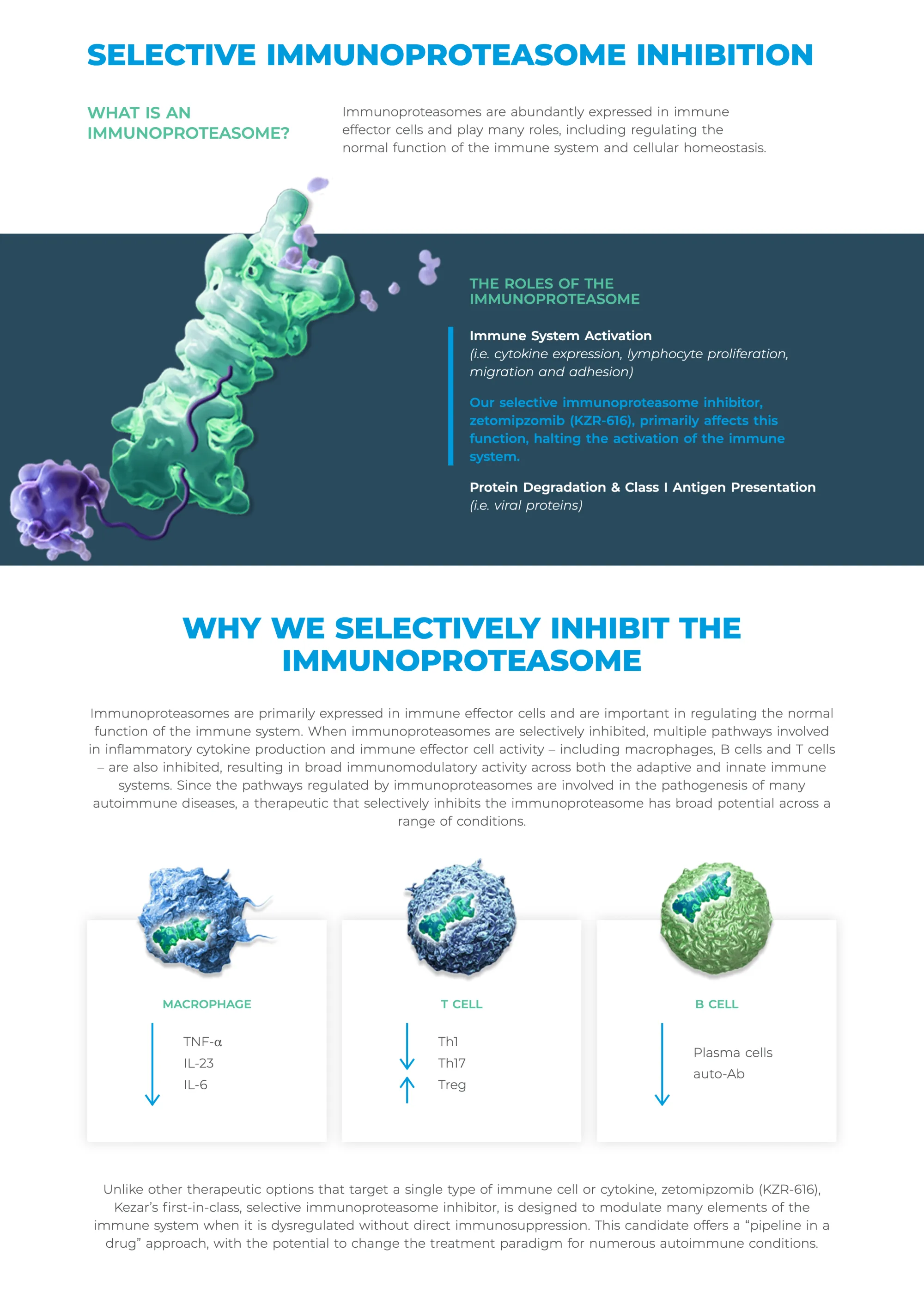 Big Move in Autoimmune Space: Aurinia to Buy Kezar Life Sciences