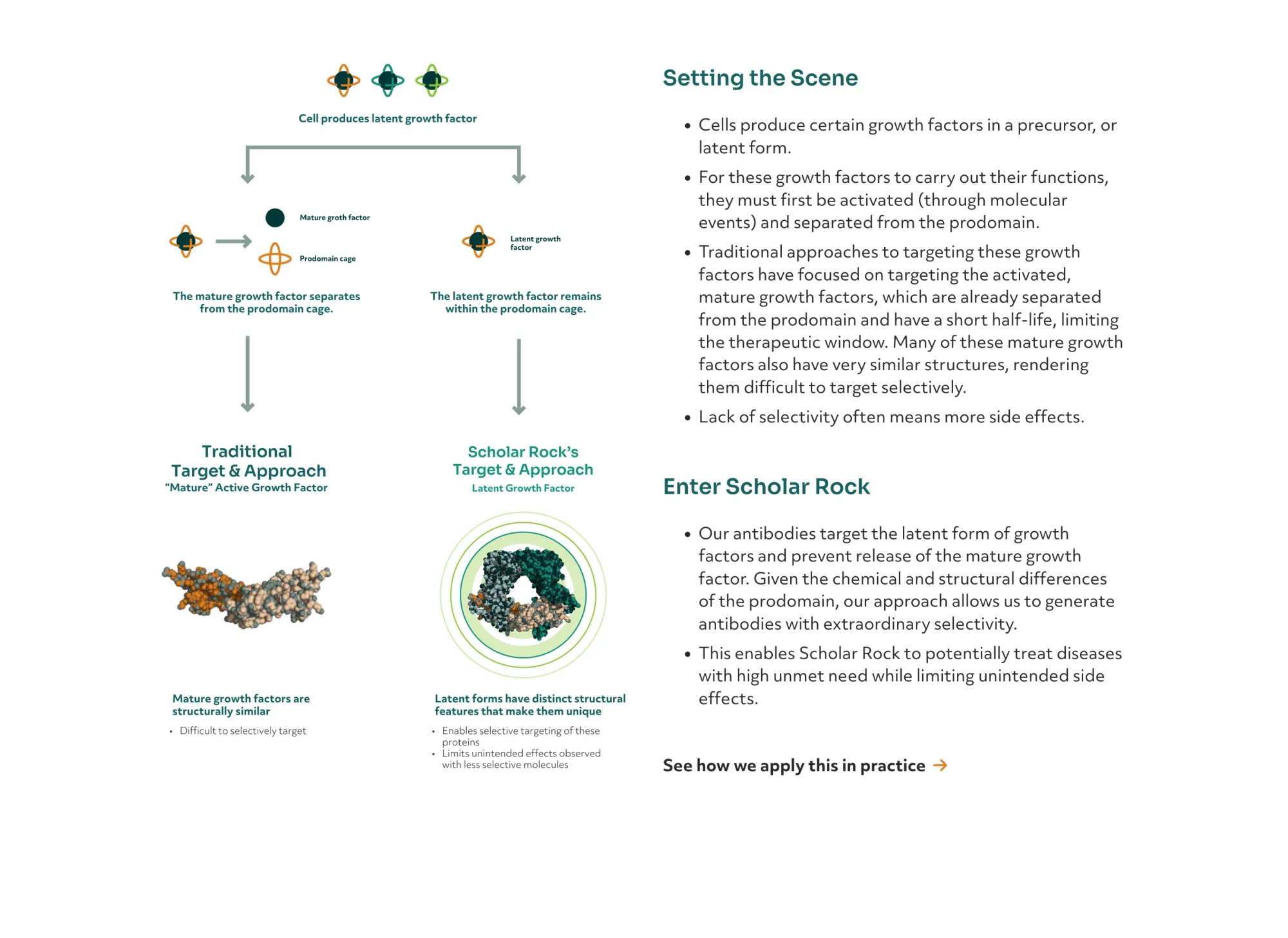 Scholar Rock Shares Jump as Apitegromab BLA Resubmitted to FDA for SMA Treatment
