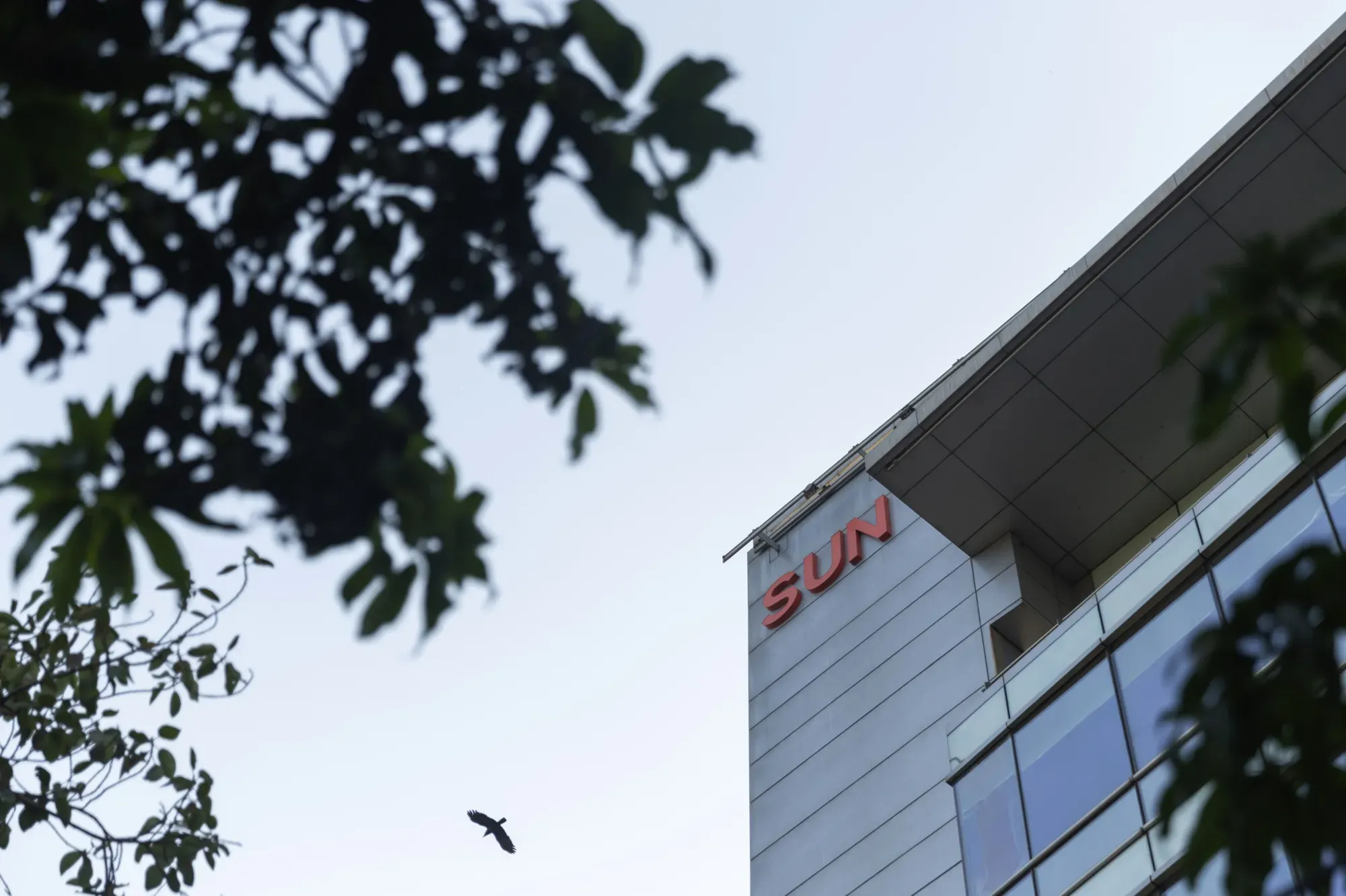 Indian Pharma Giant Sun Pharma Launches $13 Billion Takeover Bid for Organon