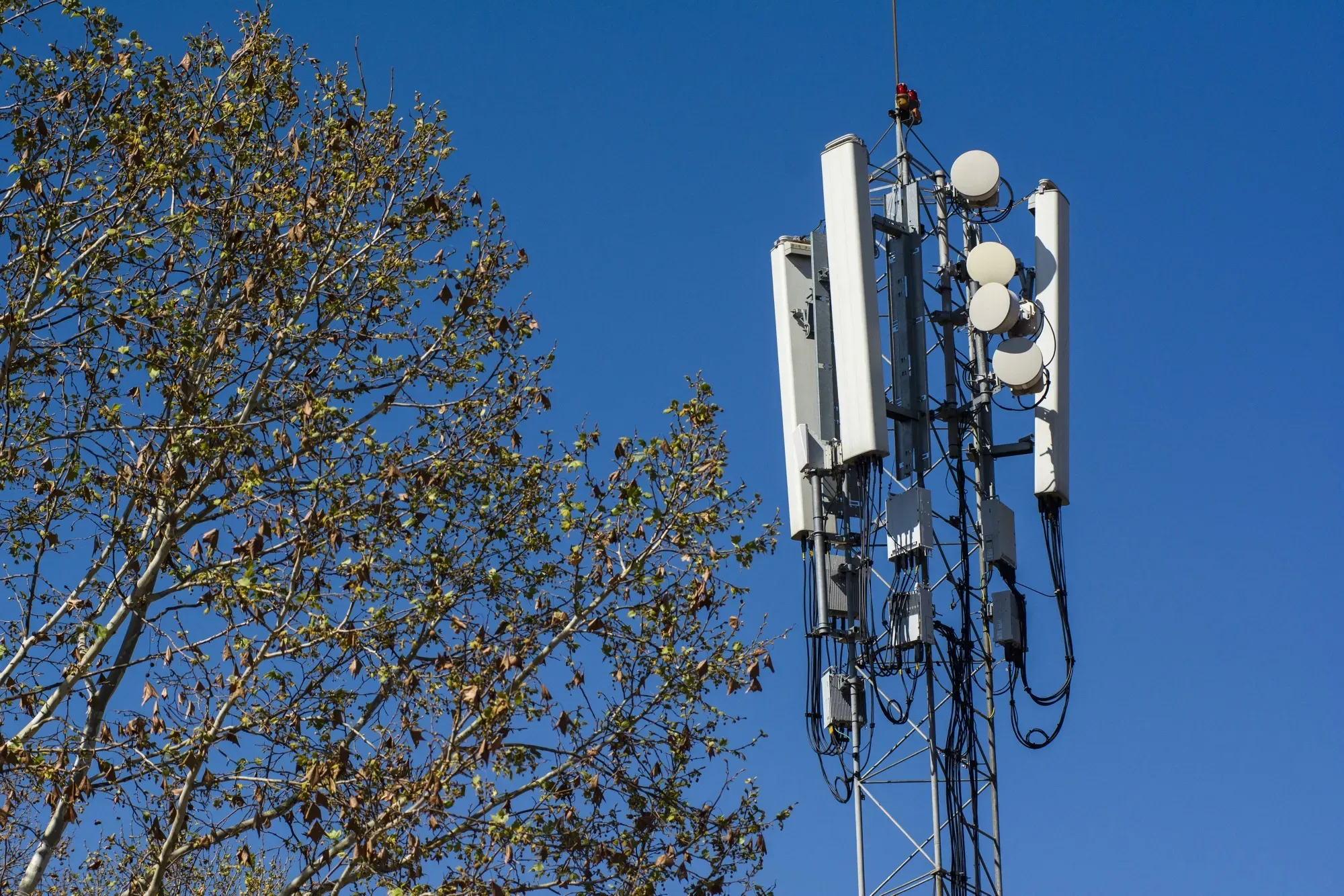 SBA Communications Explores Potential Sale After Takeover Interest