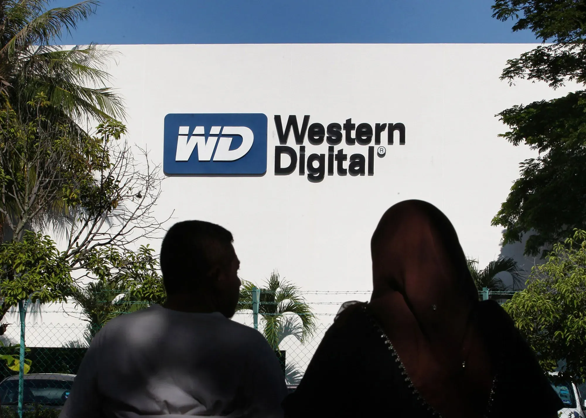 Strongest Quarter in Years for Western Digital: AI Drives 45% Growth, But Shares Fall After Earnings