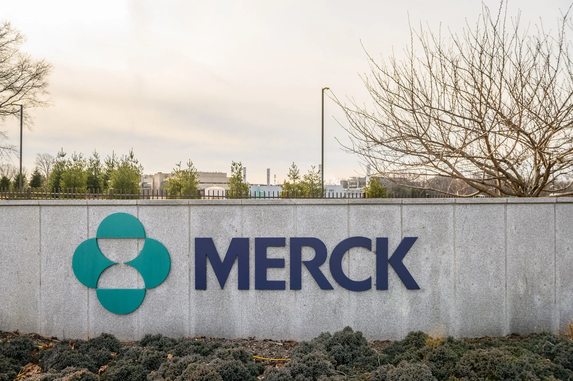 Merck and Eisai Phase 3 Miss Shakes Up Kidney Cancer Race – Analysts Split on Arcus 