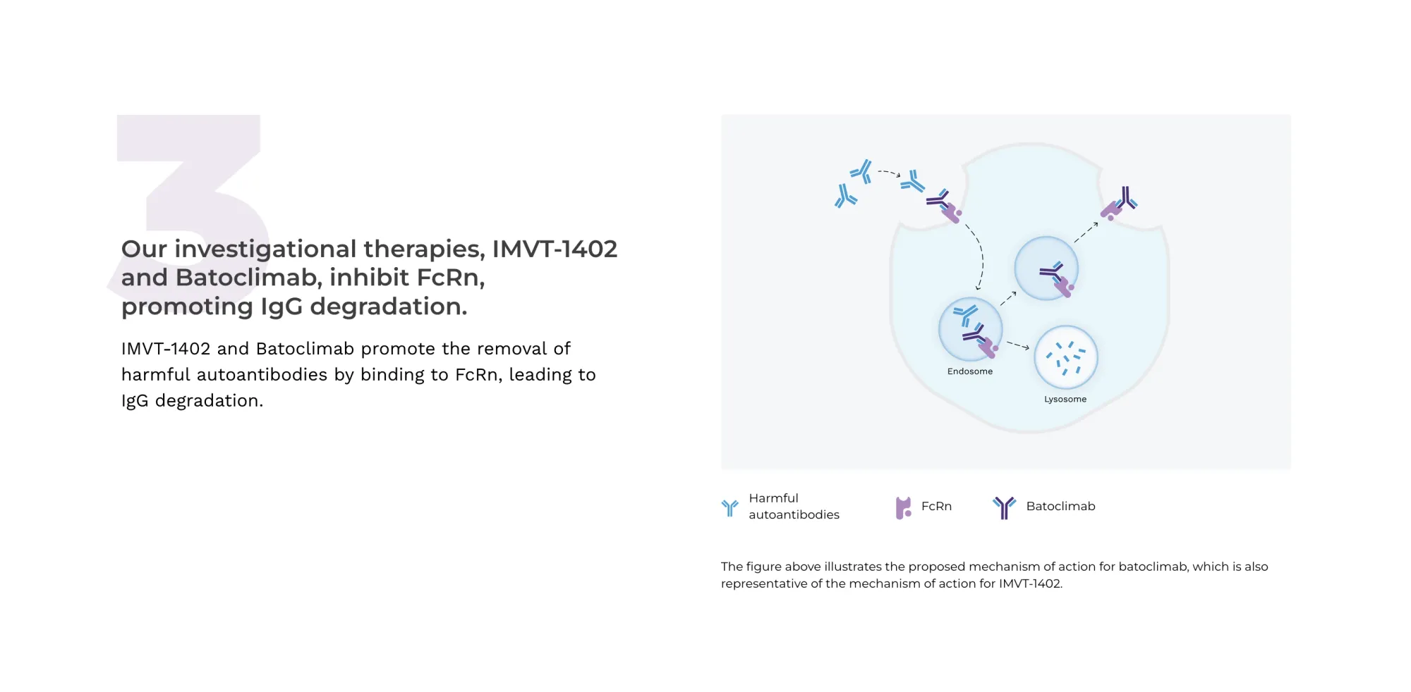 Immunovant’s Batoclimab Flops in Phase 3 Thyroid Eye Disease Trials