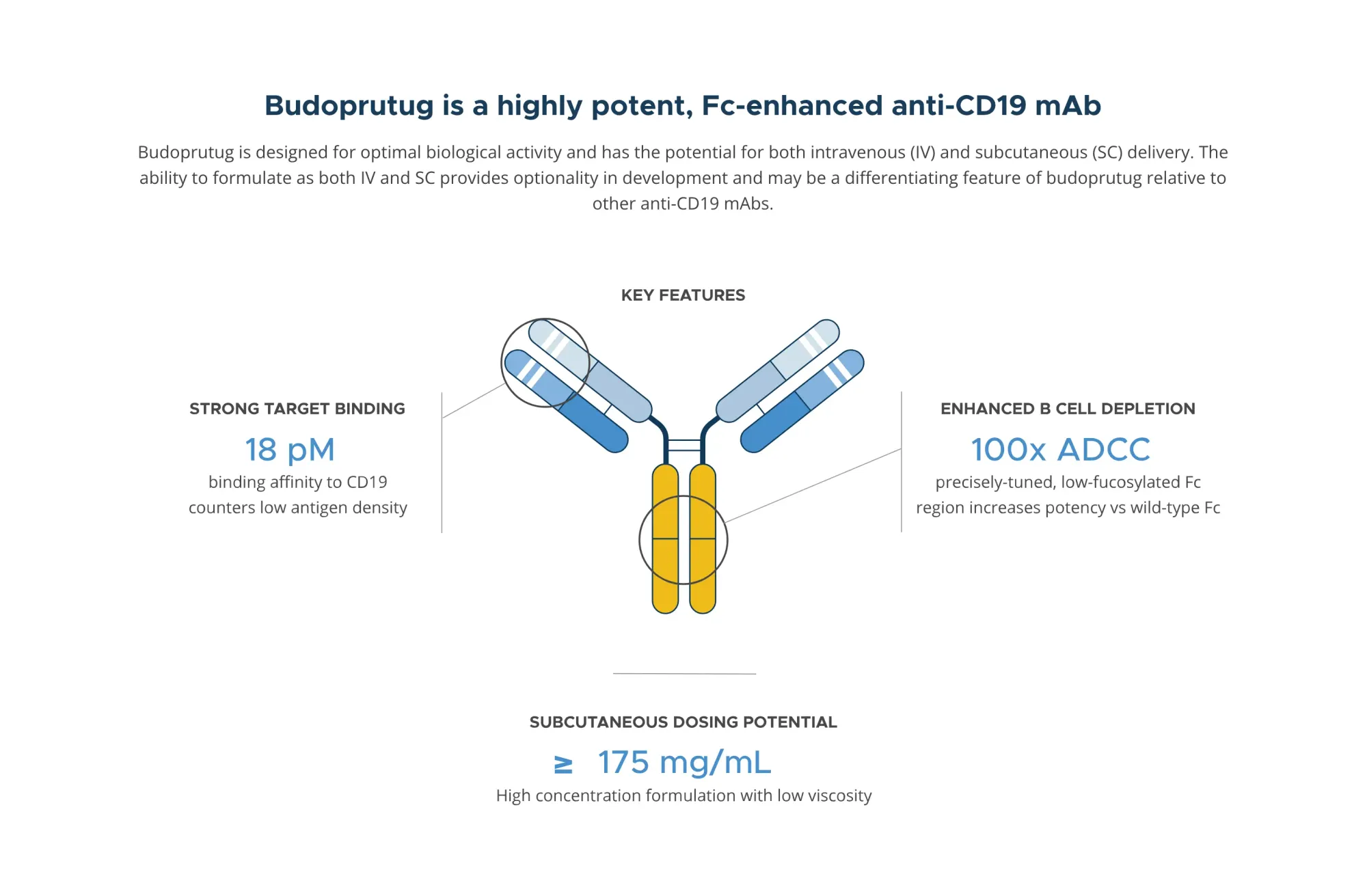 FDA Gives Fast Track Boost to Climb Bio’s Budoprutug for Primary Membranous Nephropathy