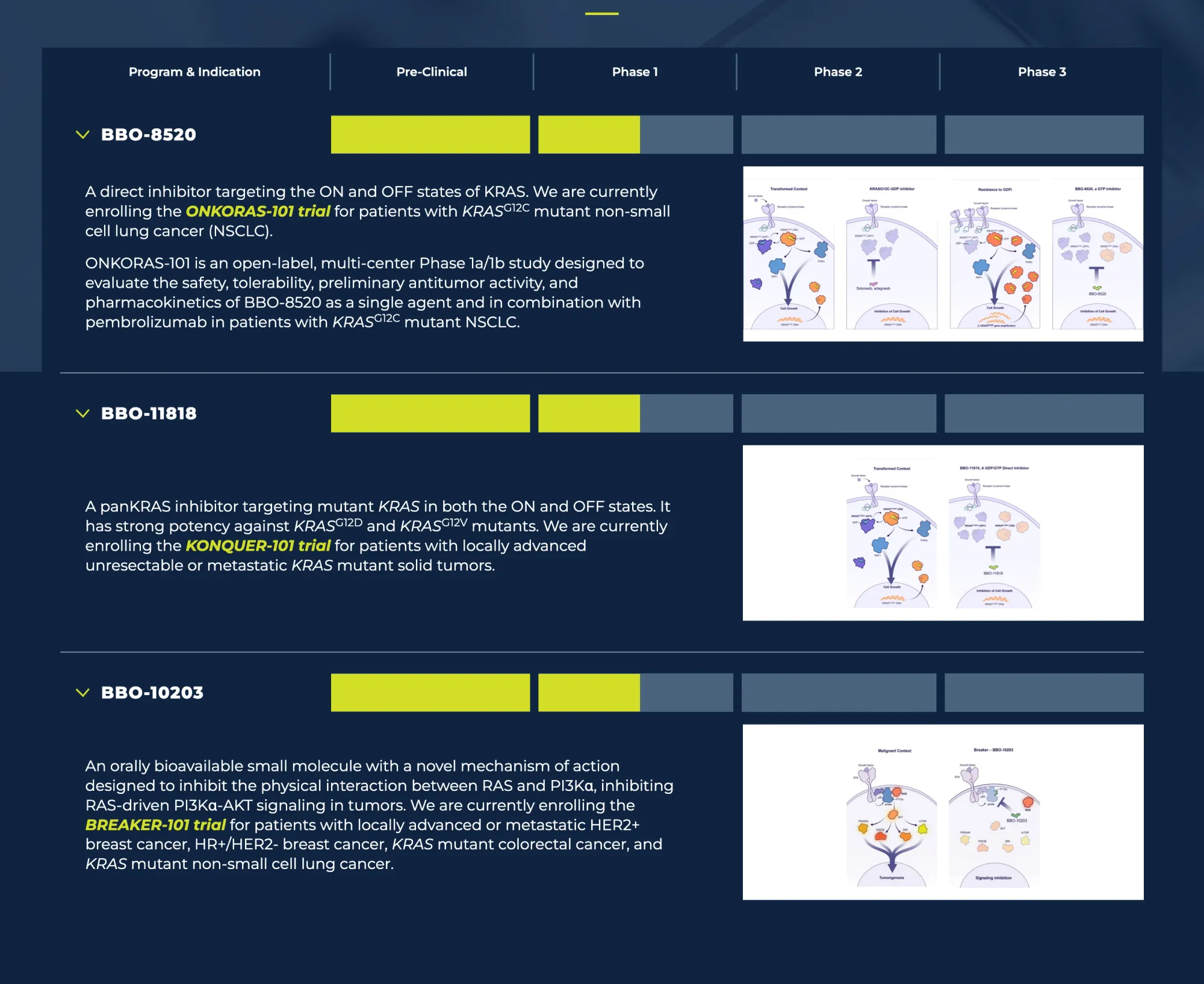 BBOT Scores FDA Fast Track for BBO-11818: A New Targeted Therapy for KRAS-Mutant Pancreatic Cancer