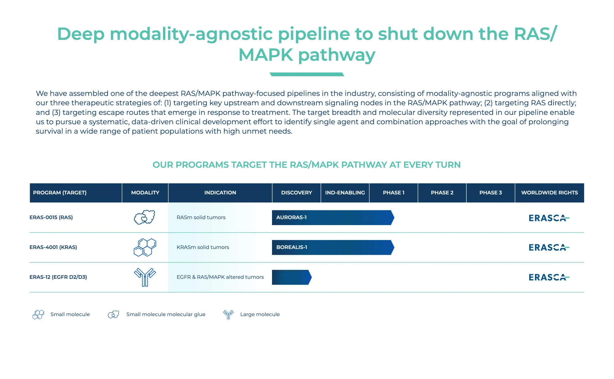 Erasca Vows to Fight Revolution Medicines Patent Allegations – Stifel Stays Bullish