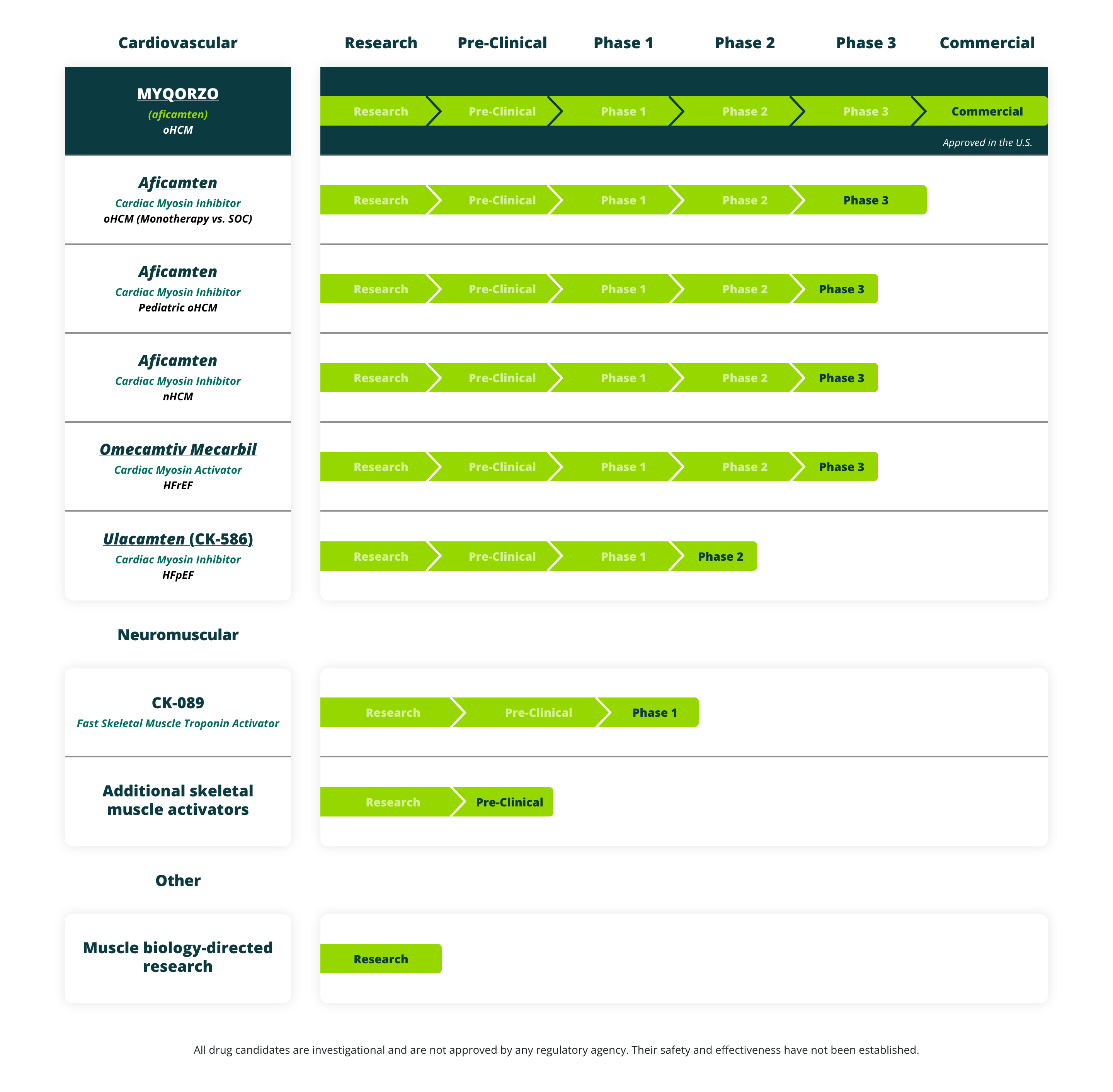 Cytokinetics’ Myqorzo Succeeds Where Camzyos Failed: Positive Phase 3 Results in Non-Obstructive HCM
