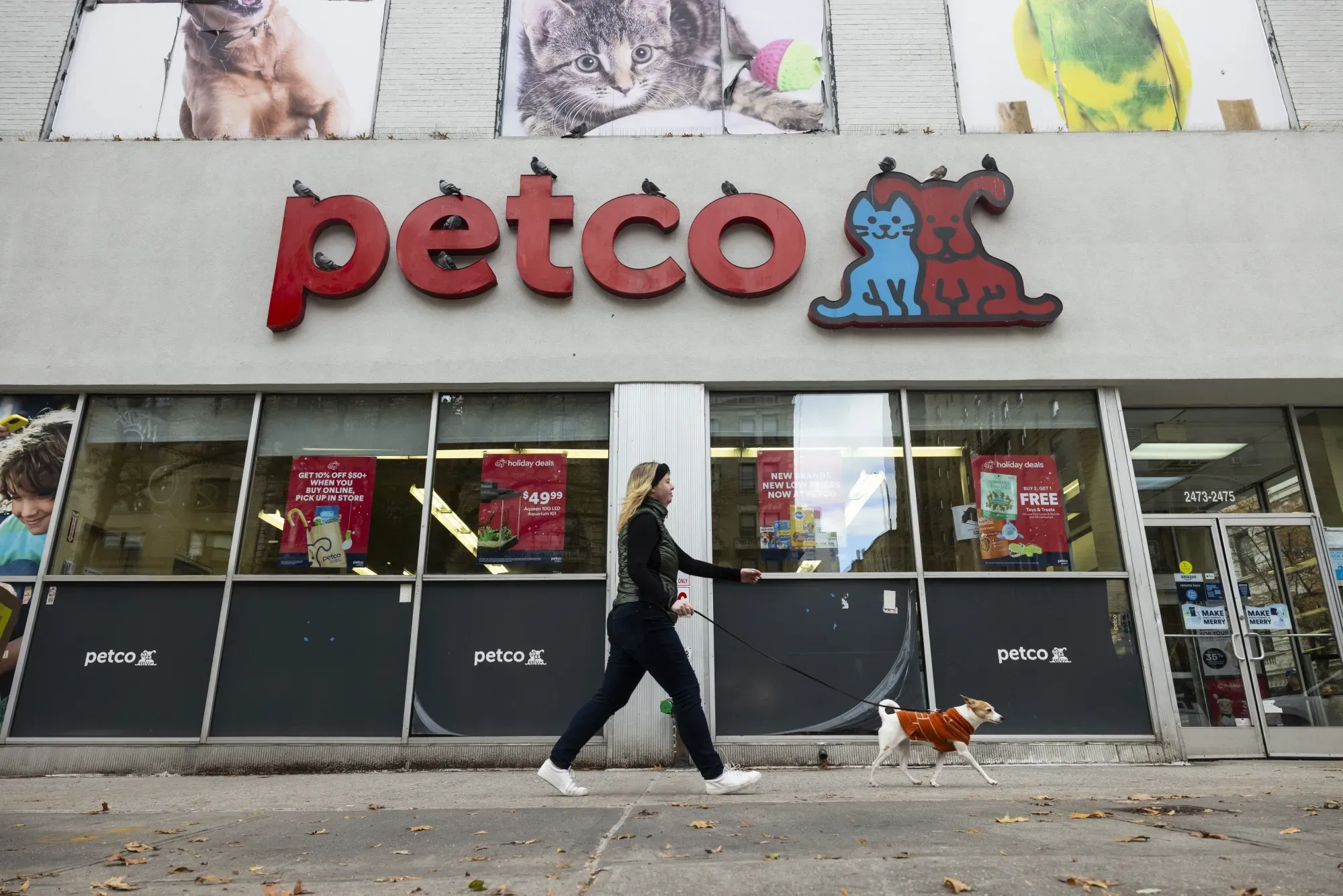 Petco Q1 2026: Positive Comps Return, But EPS Miss and Cautious Outlook Weigh on Investors