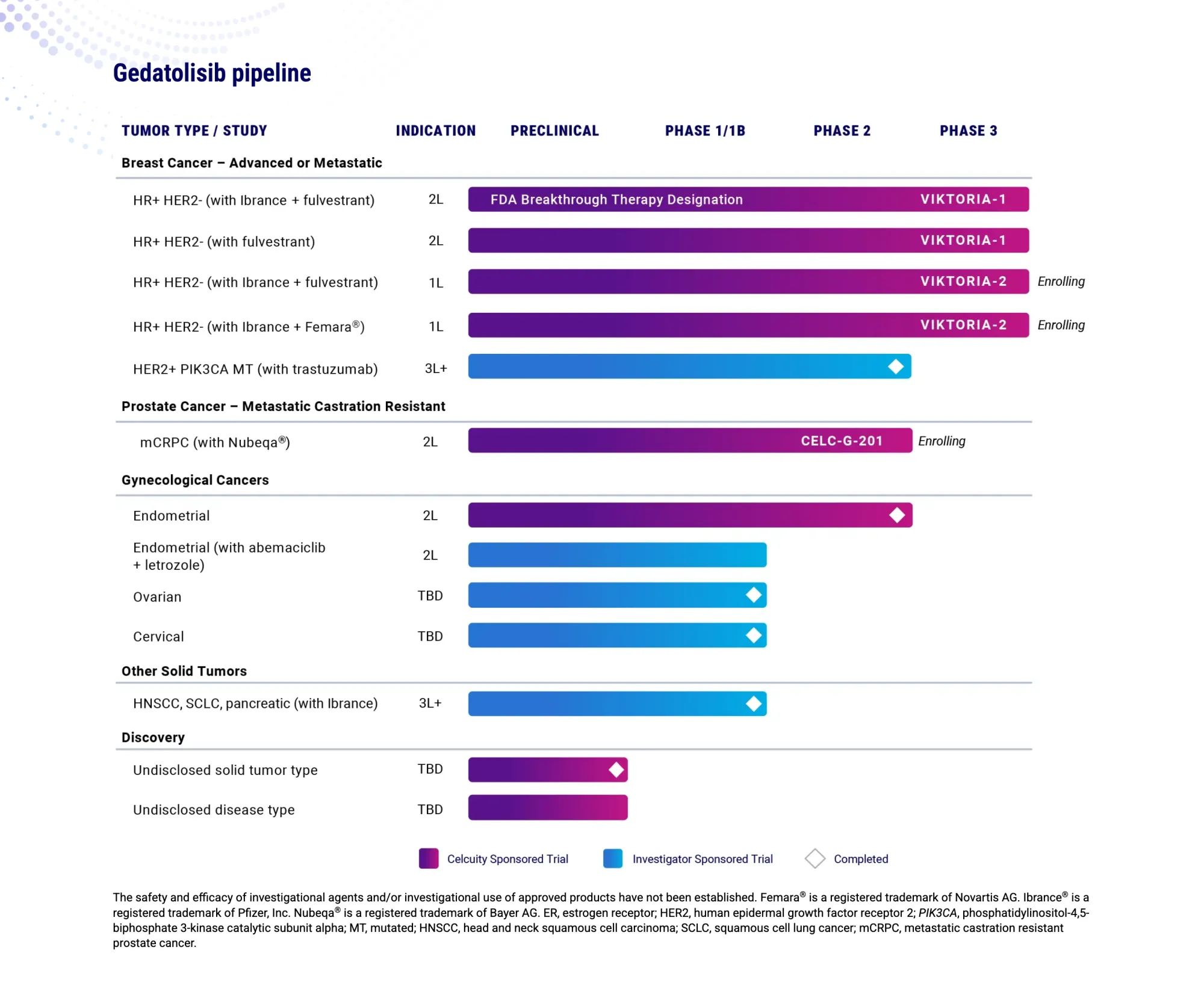 Celcuity’s Breast Cancer Drug Outperforms Rivals at ASCO, Yet Wall Street Still Reacts Negatively