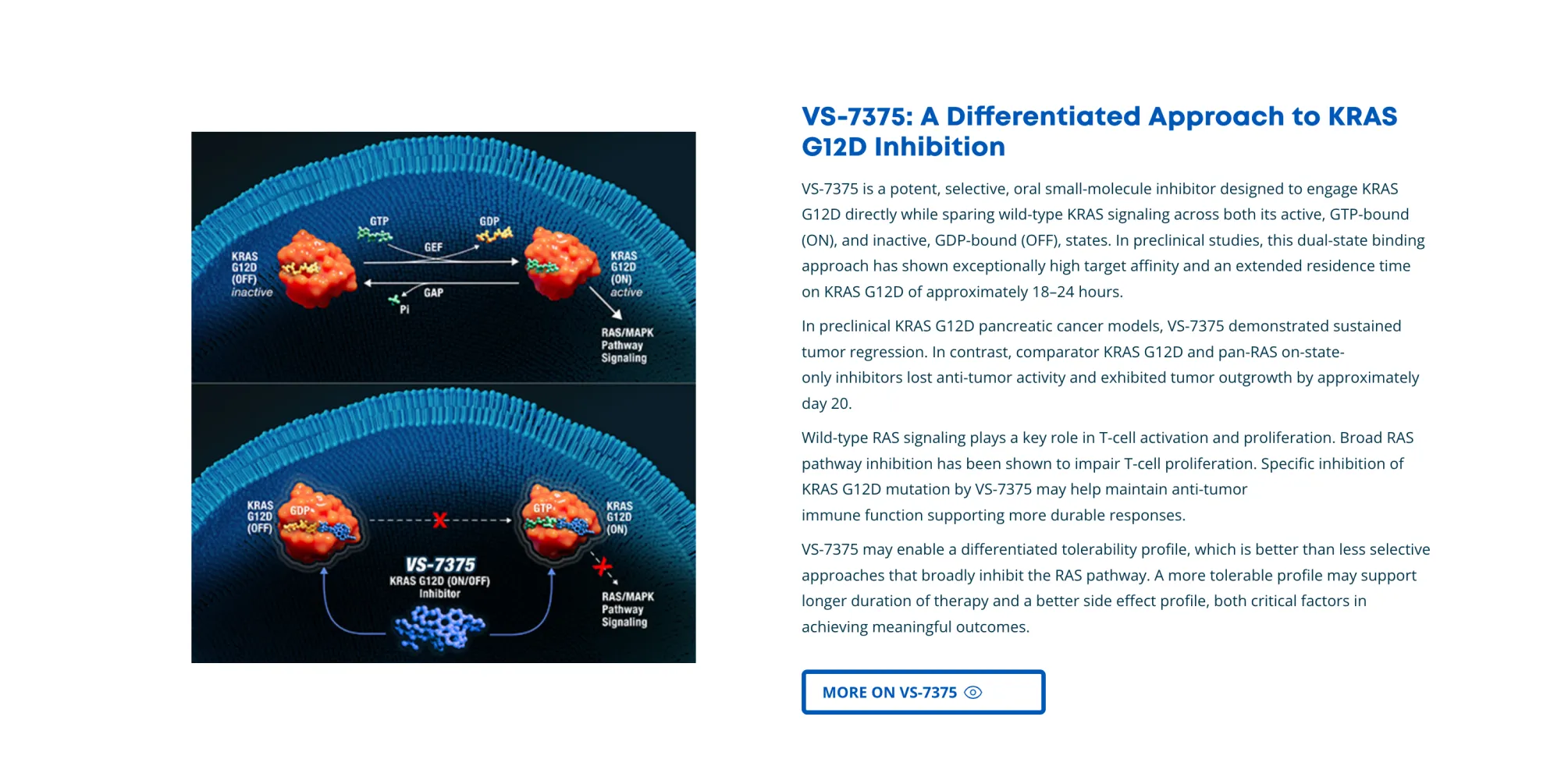 FDA Fast-Tracks Verastem’s Breakthrough Oral Drug for KRAS G12D Lung Cancer