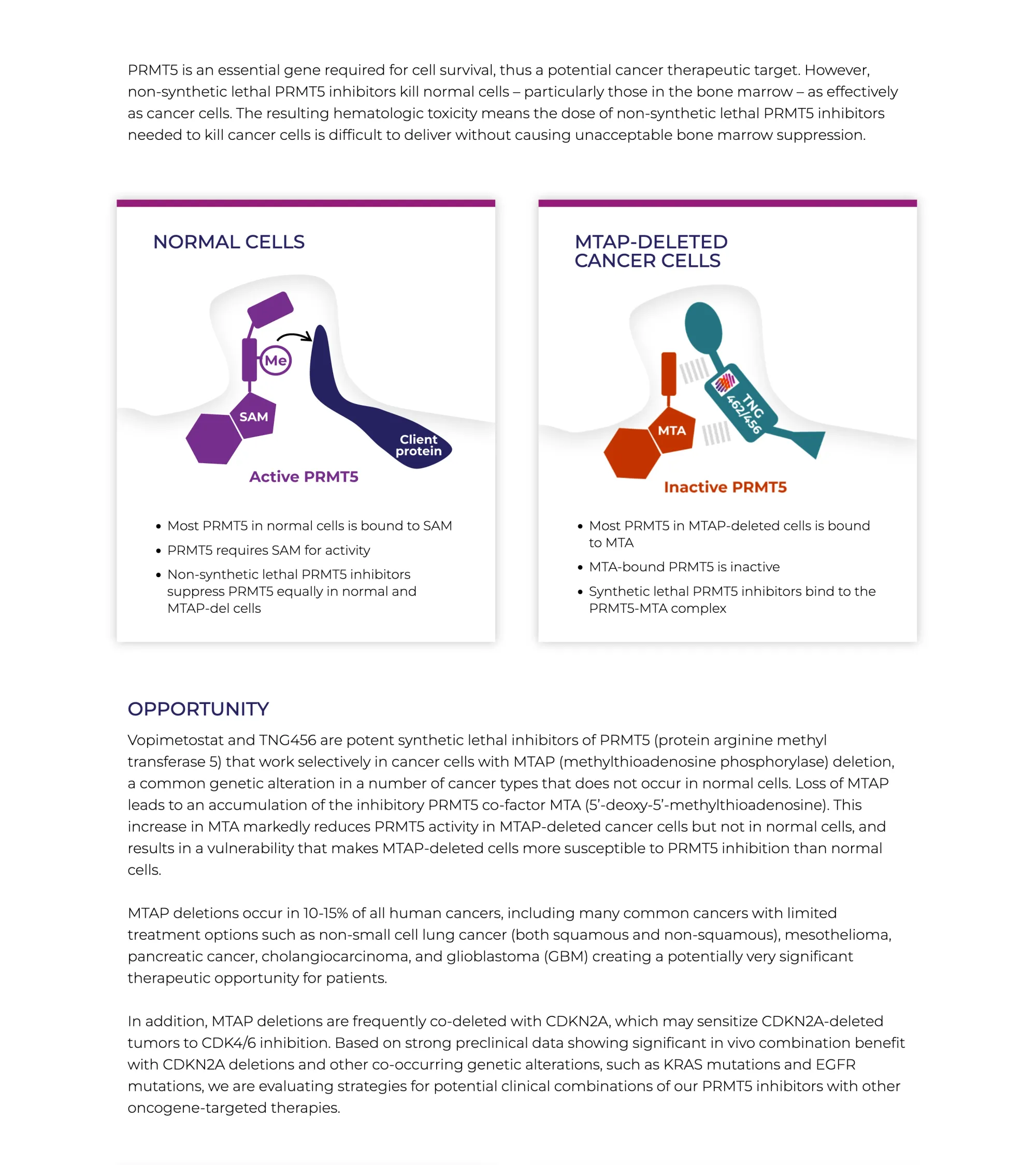 Jefferies Upgrades Tango Therapeutics to Buy, Lifts Price Target to $60 on Promising Pancreatic Cancer Data