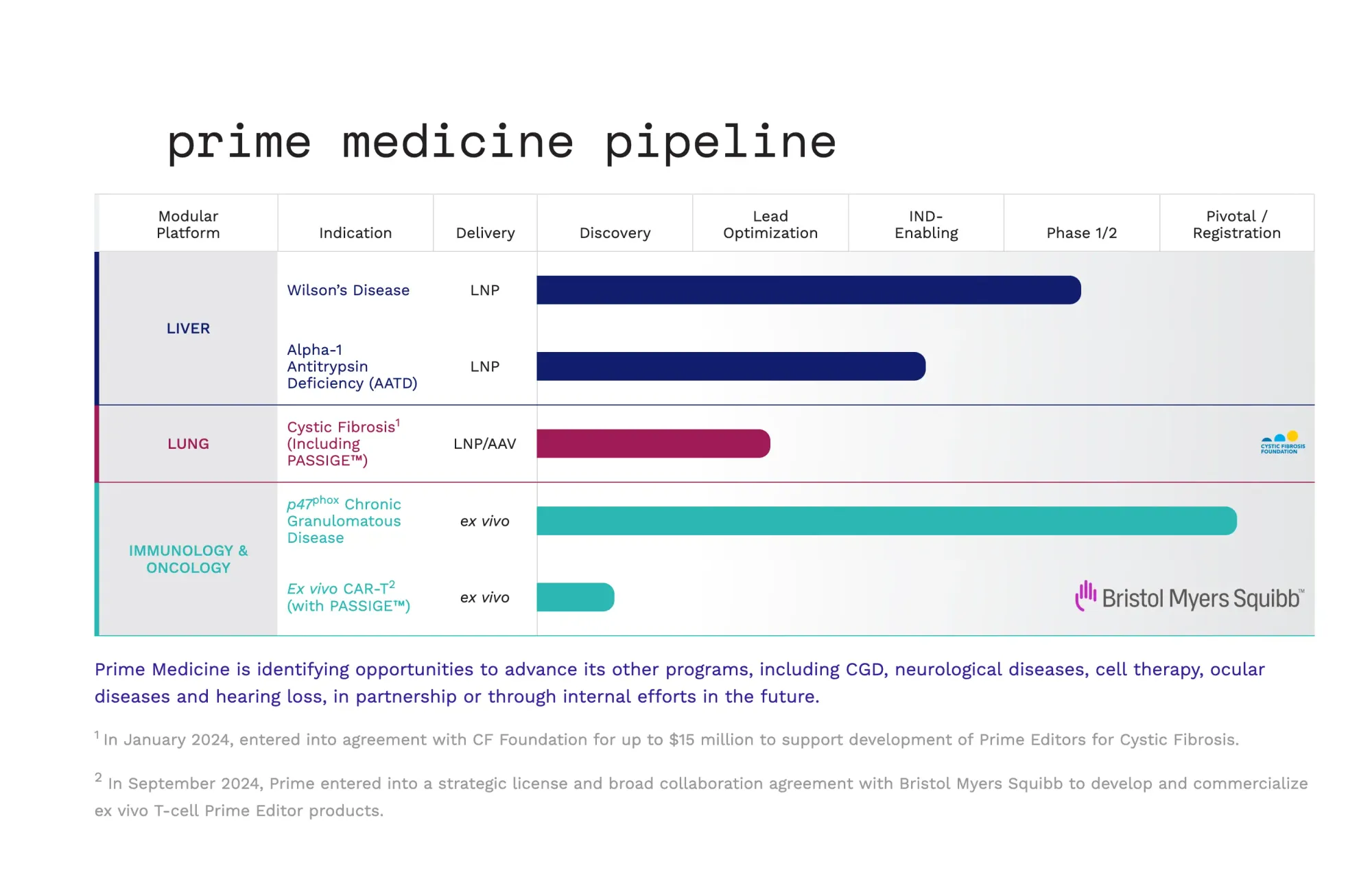 Prime Medicine Gets Analyst Upgrade to Buy as First In Vivo Prime Editing Trial Moves Forward