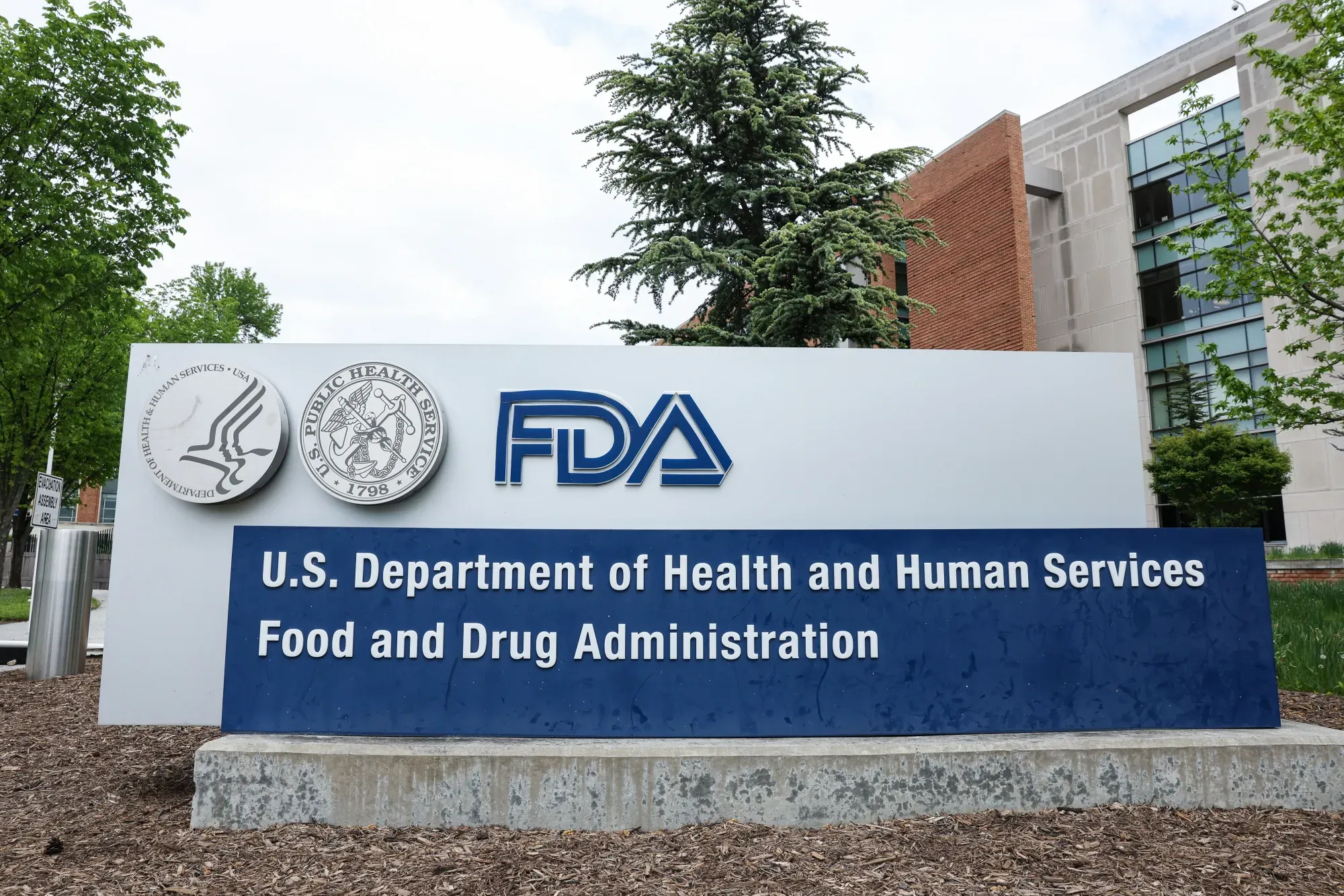 FDA Panel Votes to Ease Access to Popular Peptide BPC-157