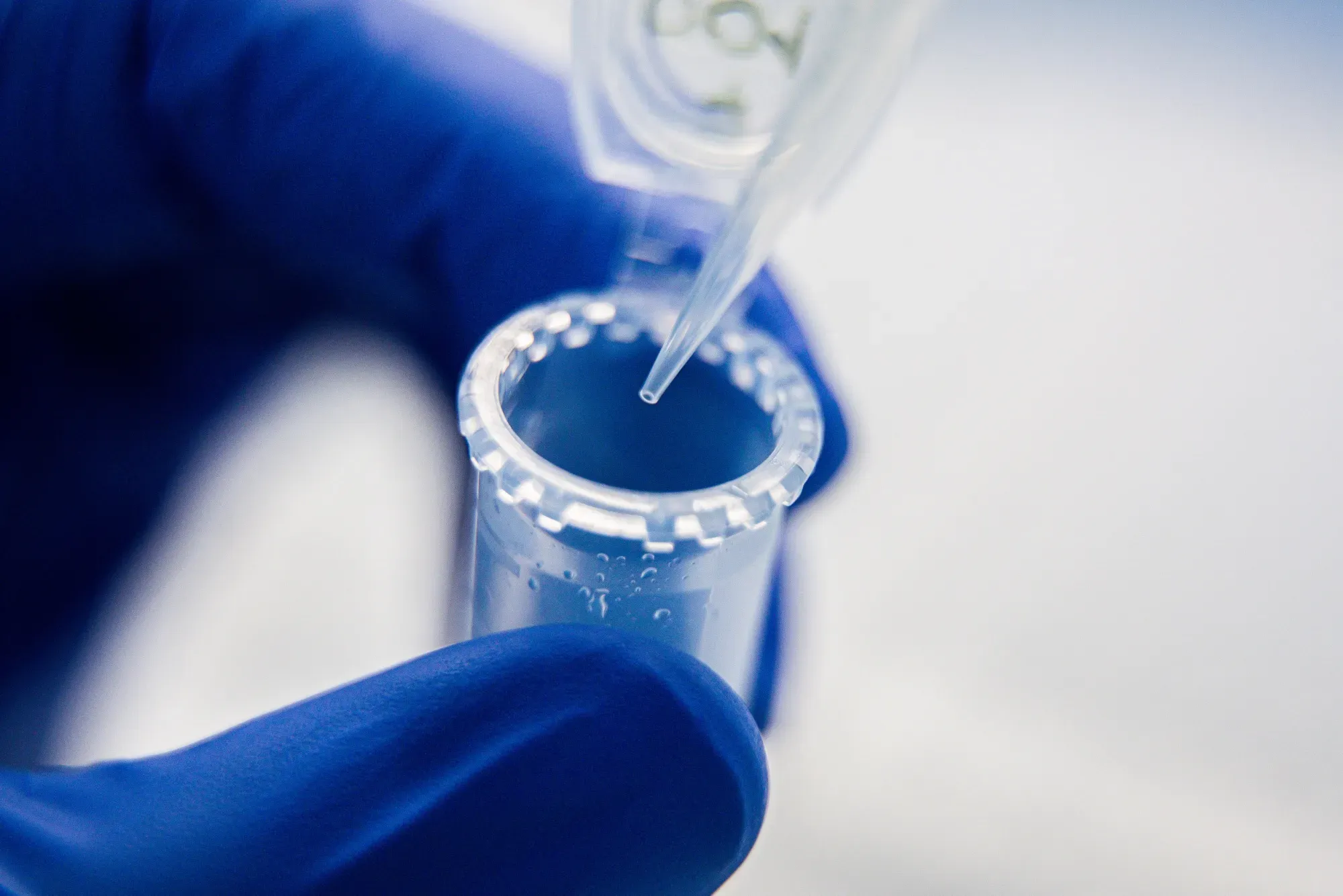 Summit Therapeutics Warns of Cash Crunch That Could Threaten Operations Despite Strong Cancer Drug Progress
