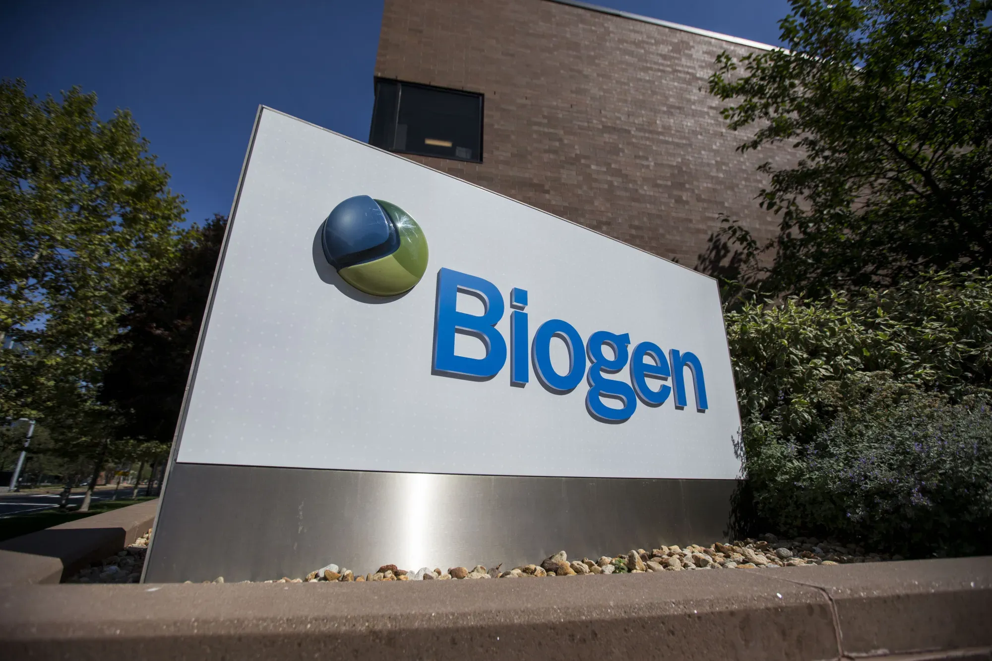 Biogen’s Tau Drug Diranersen Shows Promise in Phase 2 but Misses Primary Endpoint