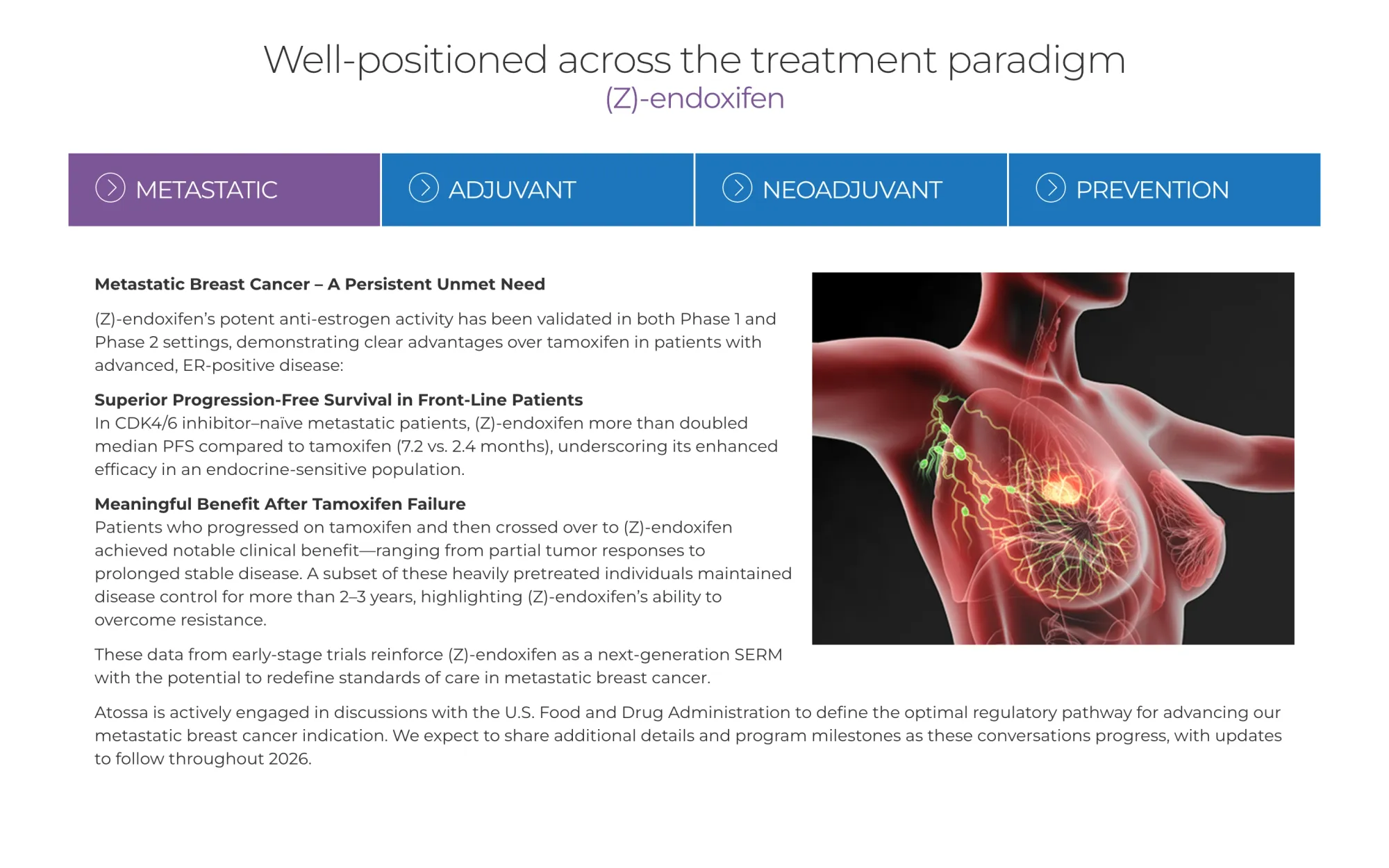 Rodman & Renshaw Highlights (Z)-Endoxifen Potential as It Initiates Buy on Atossa Therapeutics