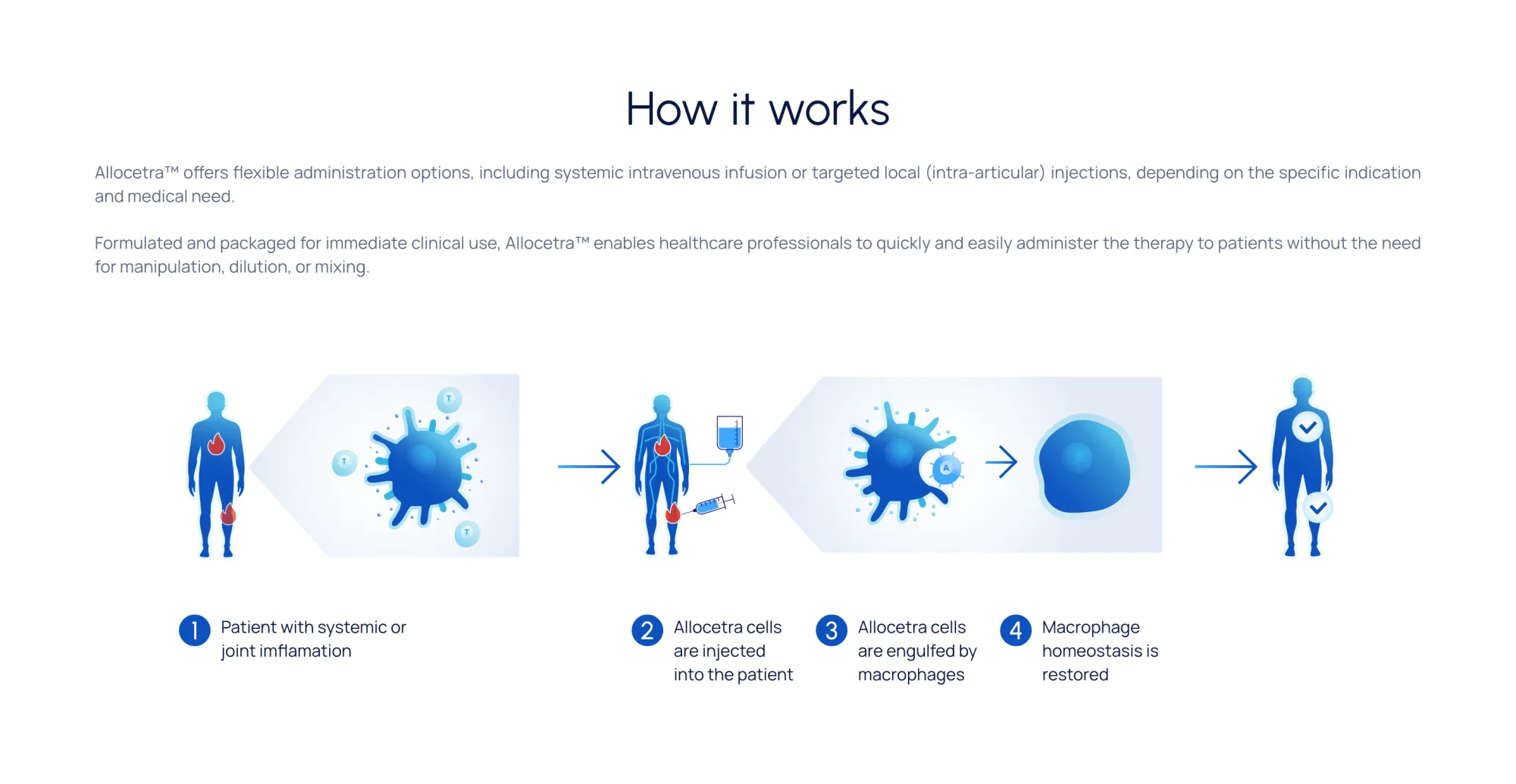 Enlivex Secures FDA RMAT Designation for Allocetra in Knee Osteoarthritis